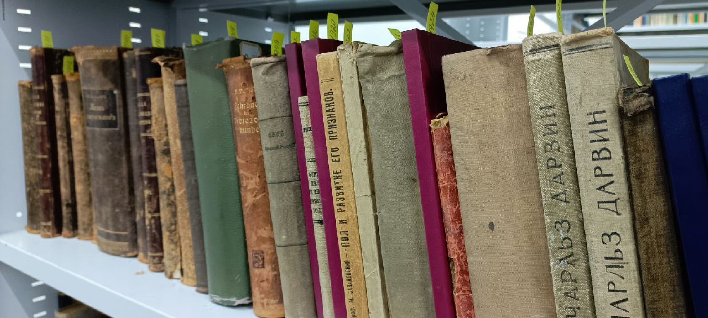 Дмитров, Рыбное, ВНИИПРХ, ВНИРО,