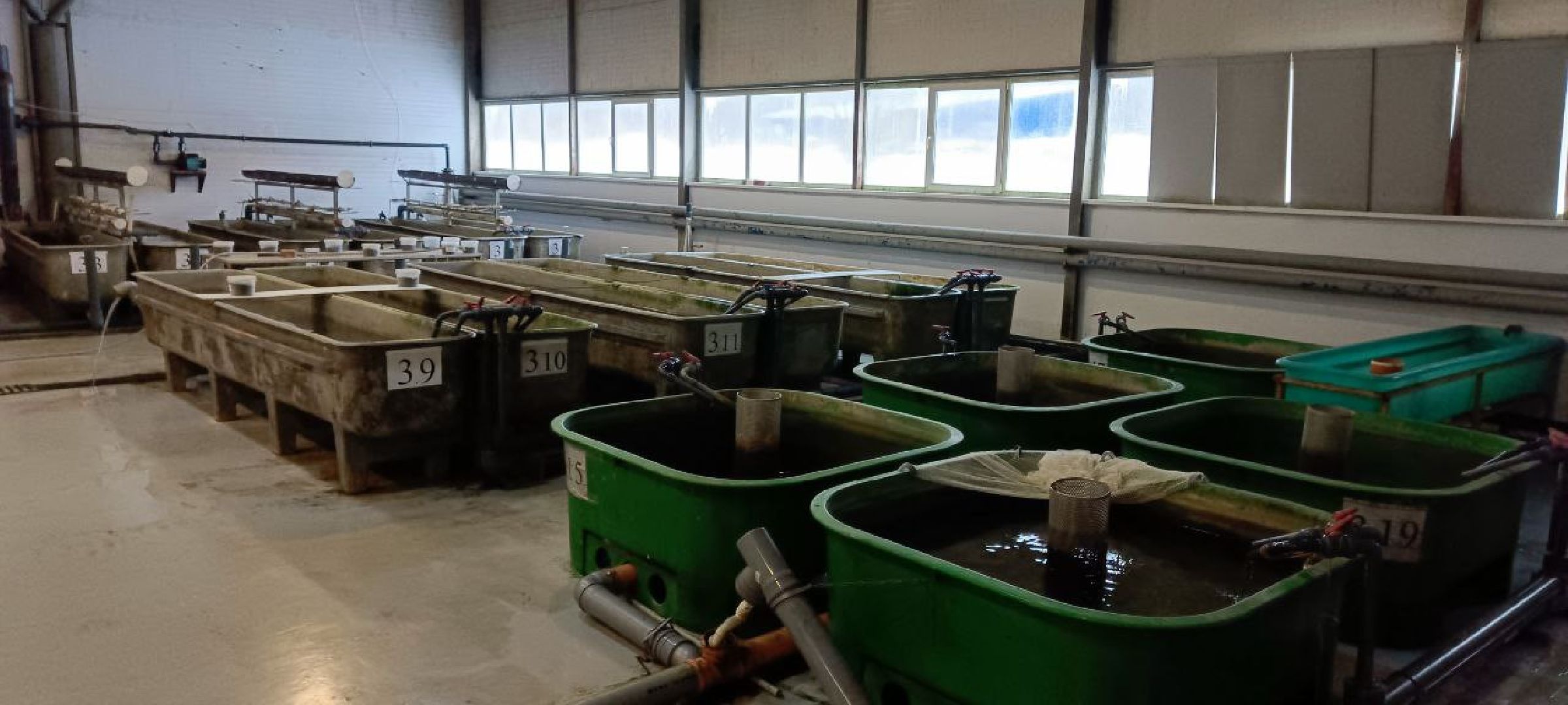 Дмитров, Рыбное, ВНИИПРХ, ВНИРО,