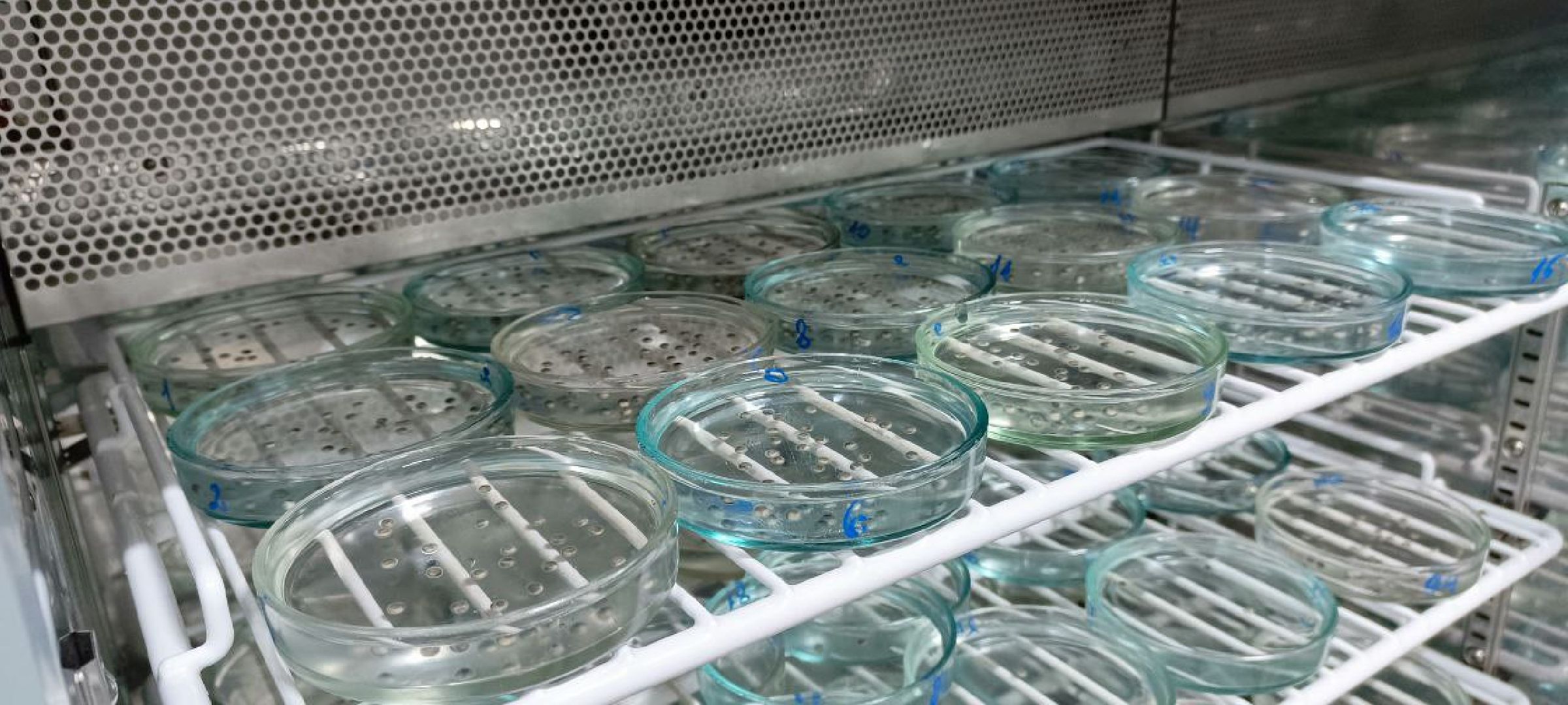 Дмитров, Рыбное, ВНИИПРХ, ВНИРО,