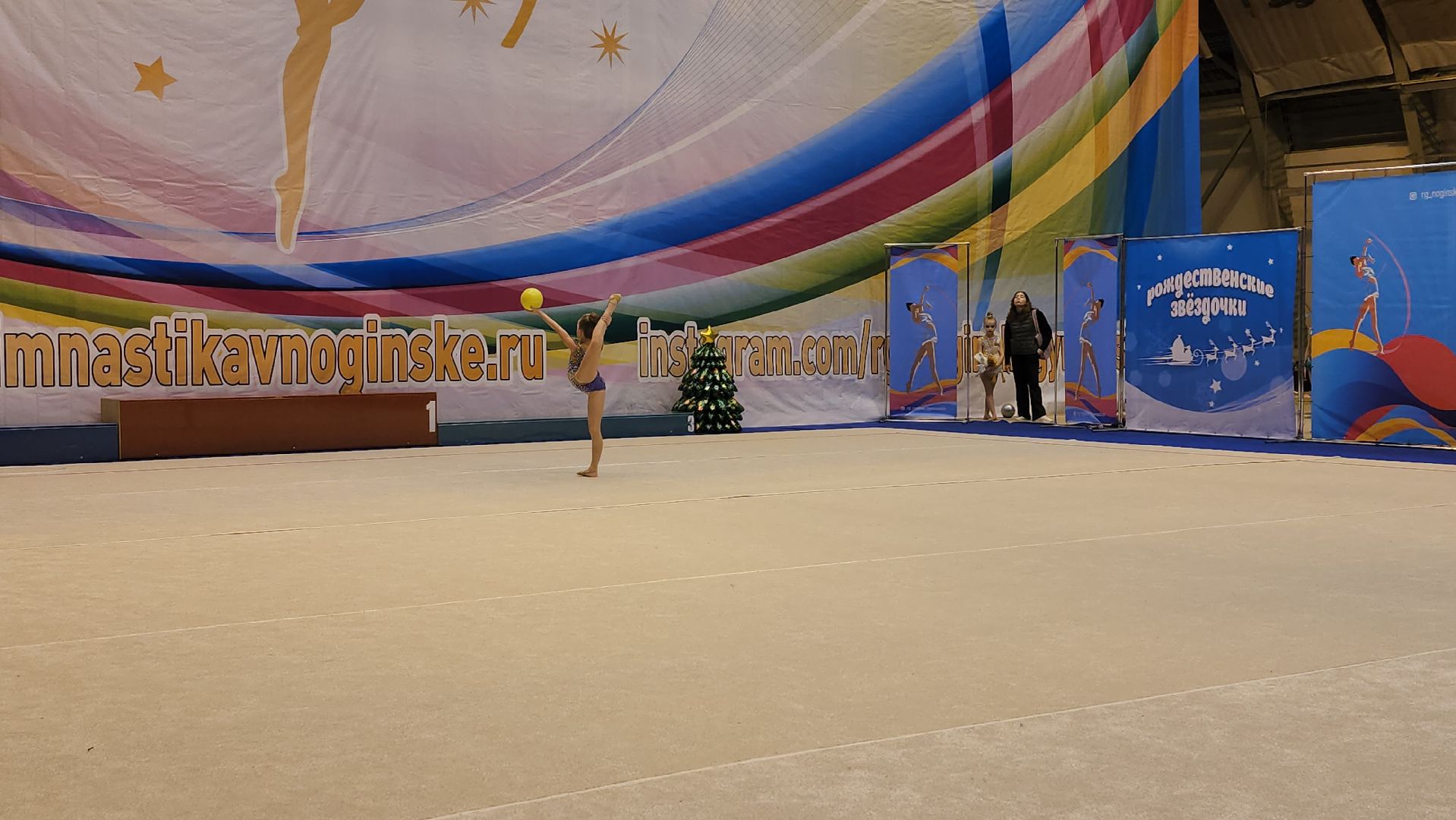 художественнная гимнастика, спорт, первенство, Ногинск, Богородский городской окргу,