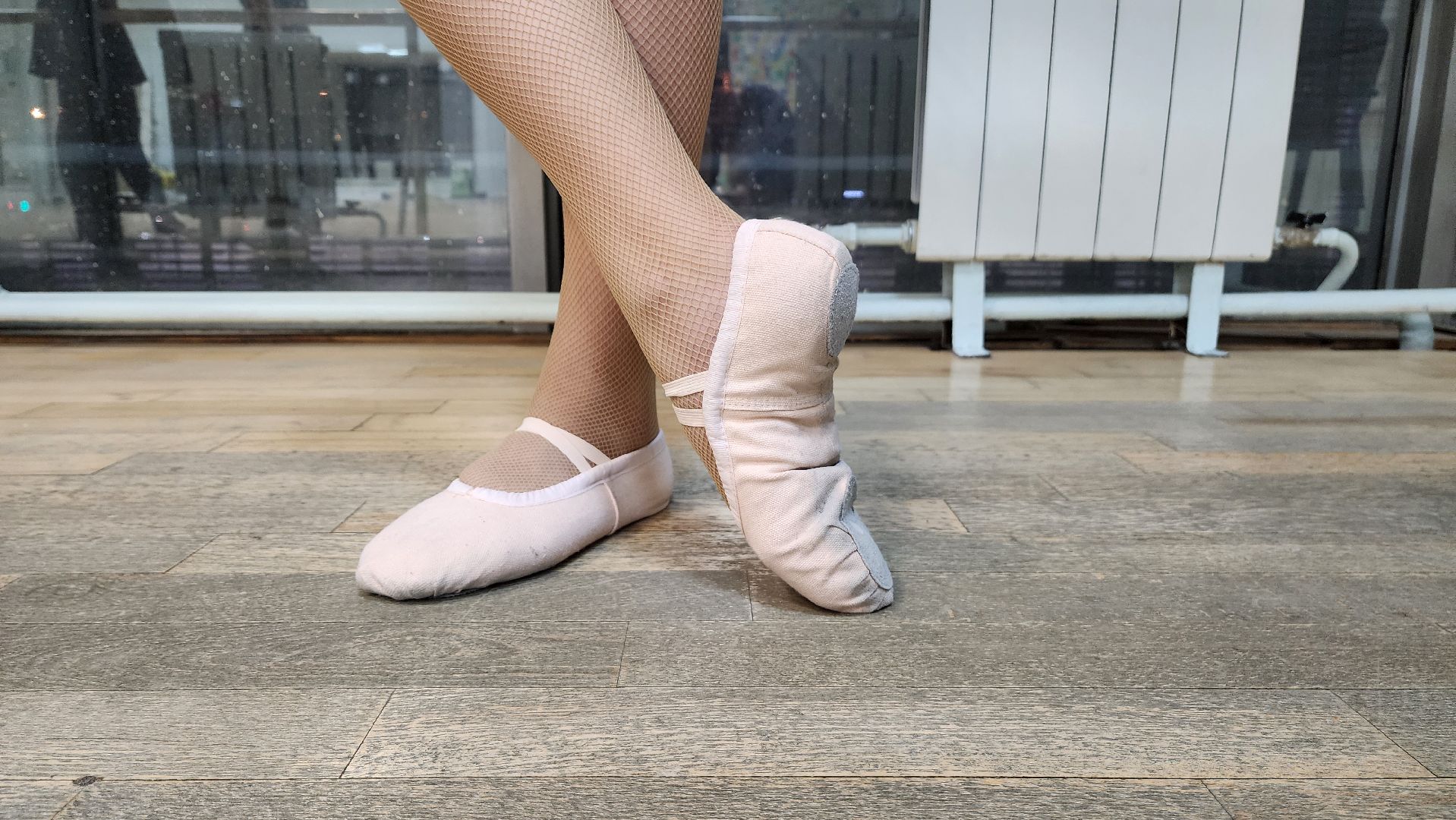 Подмосковье, Городской округ Пушкинский, Ивантеевка, Пушкино, Артек, Россияночка,