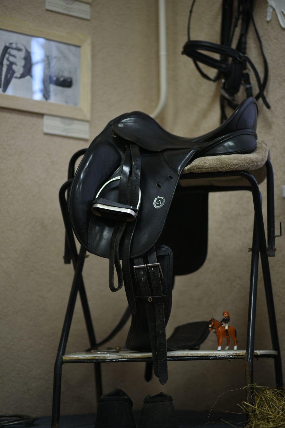 Музей, Бронницы, Архангельское