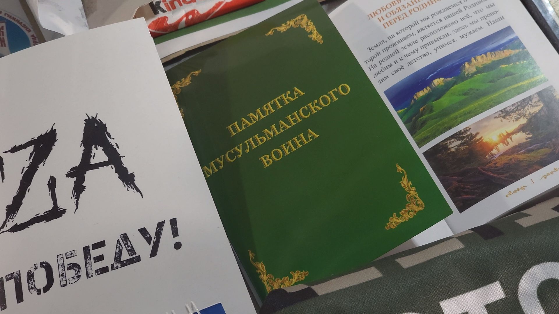 Руза, спецоперация, музей, реабилитация,