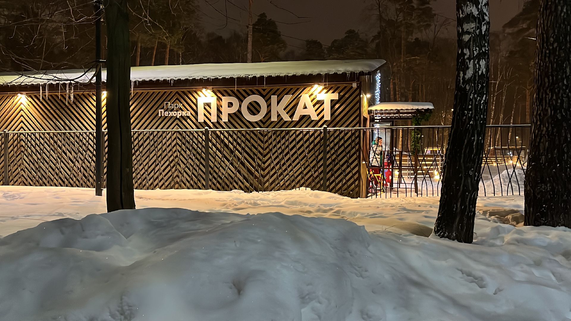 волонтерский центр, каток в парке, волонтерское движение, день студента,