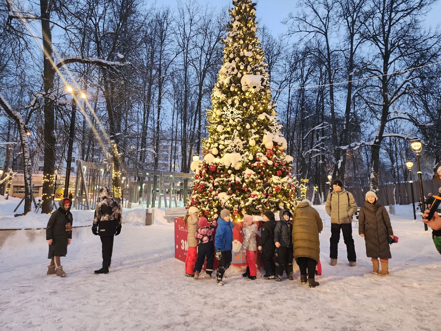 Звенигород, День студента, развлечения,