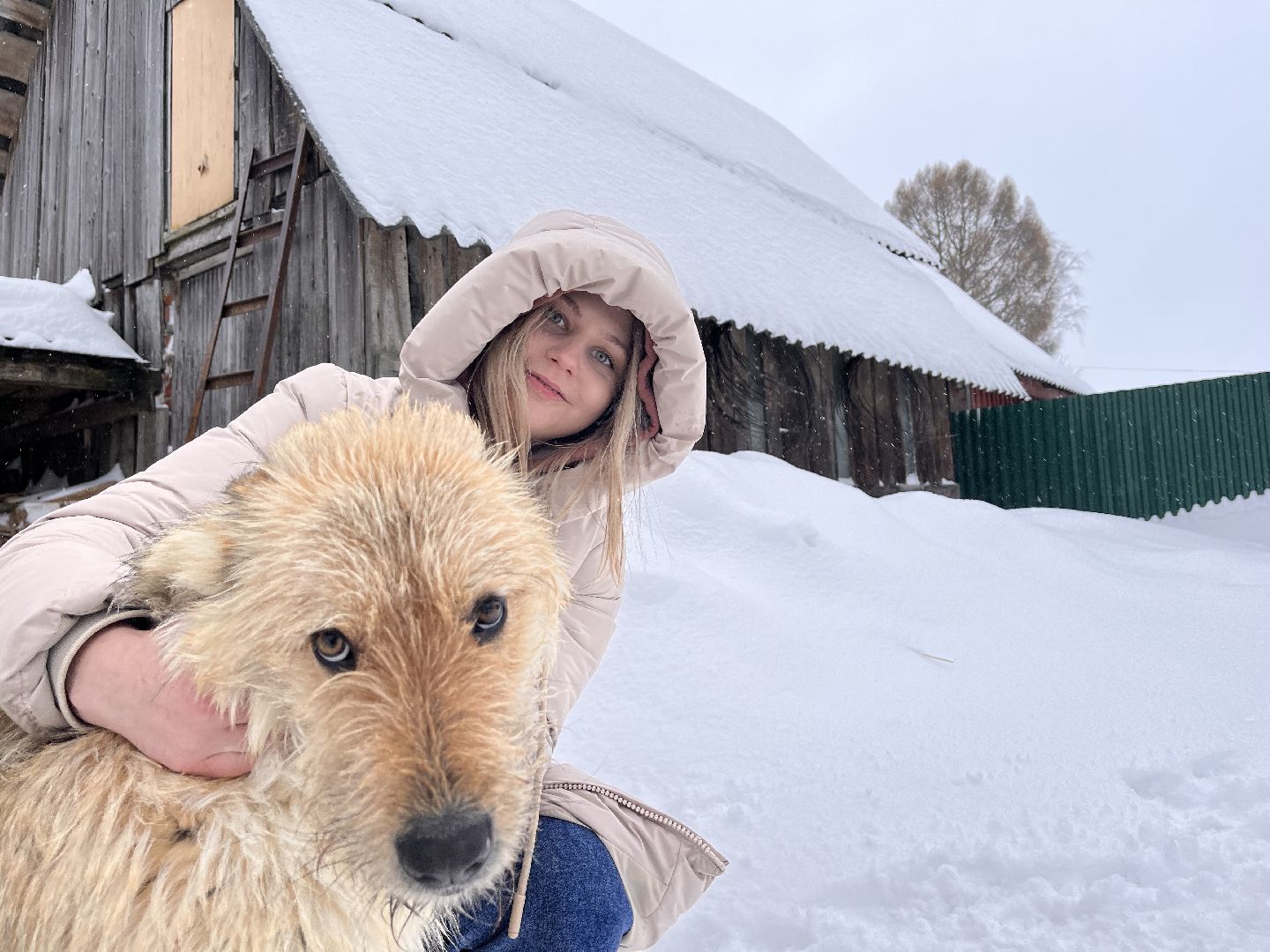 волонтер, щенок, спасение животных,