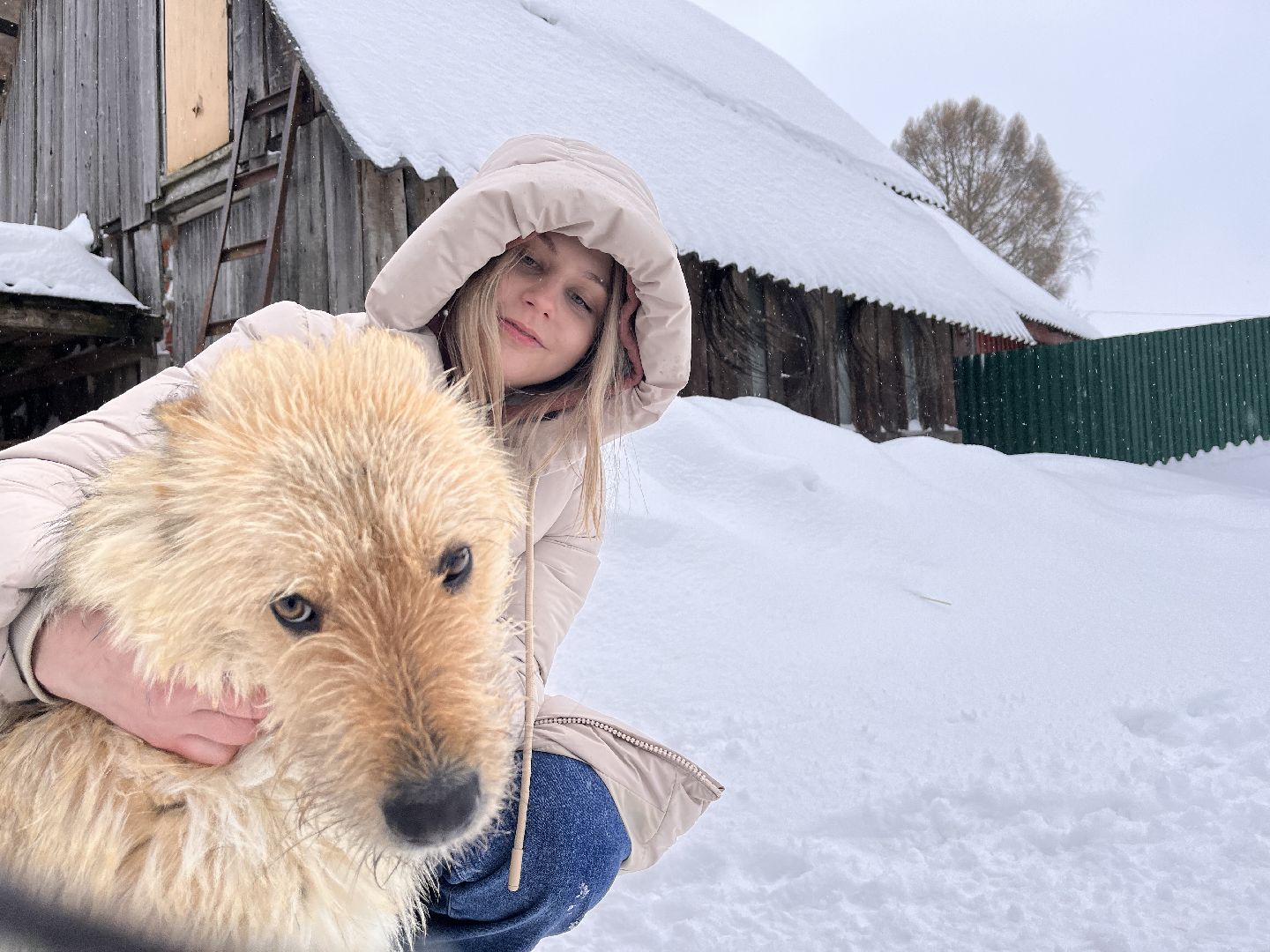 волонтер, щенок, спасение животных,