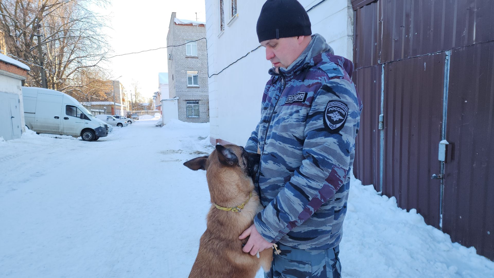 электросталь, мой город, безопасность, умвд россии, полиция, полиция электростали, кинолог, кинологи,