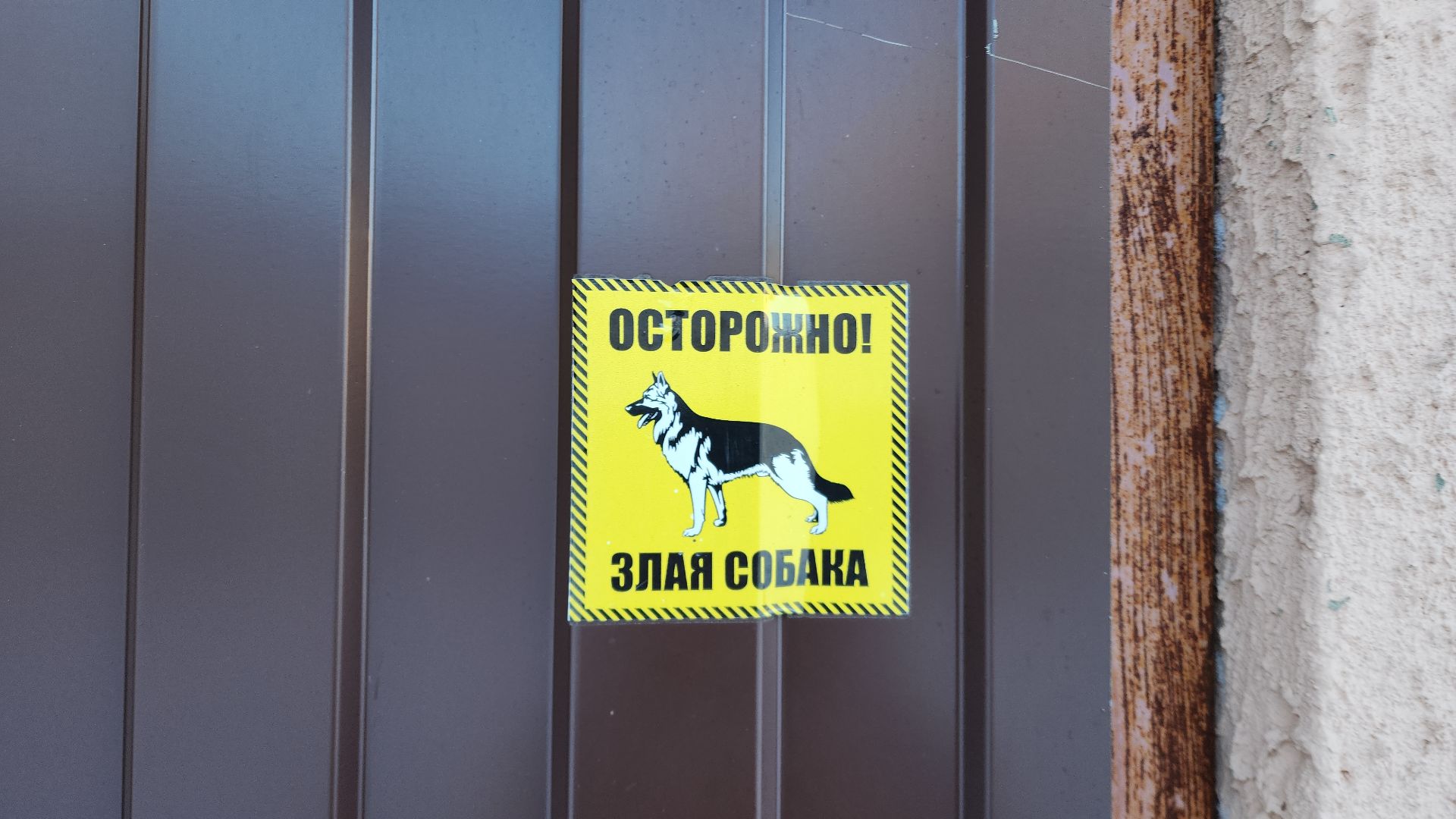 электросталь, мой город, безопасность, умвд россии, полиция, полиция электростали, кинолог, кинологи,