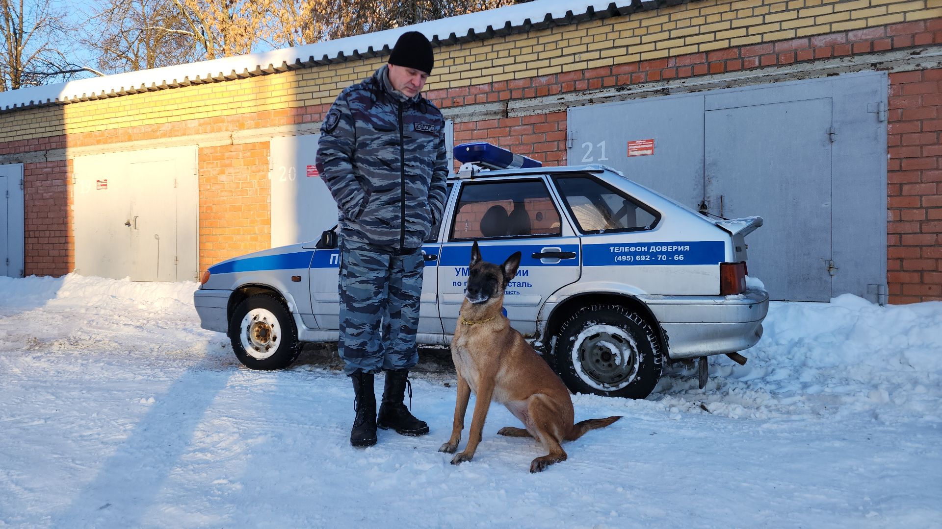 электросталь, мой город, безопасность, умвд россии, полиция, полиция электростали, кинолог, кинологи,