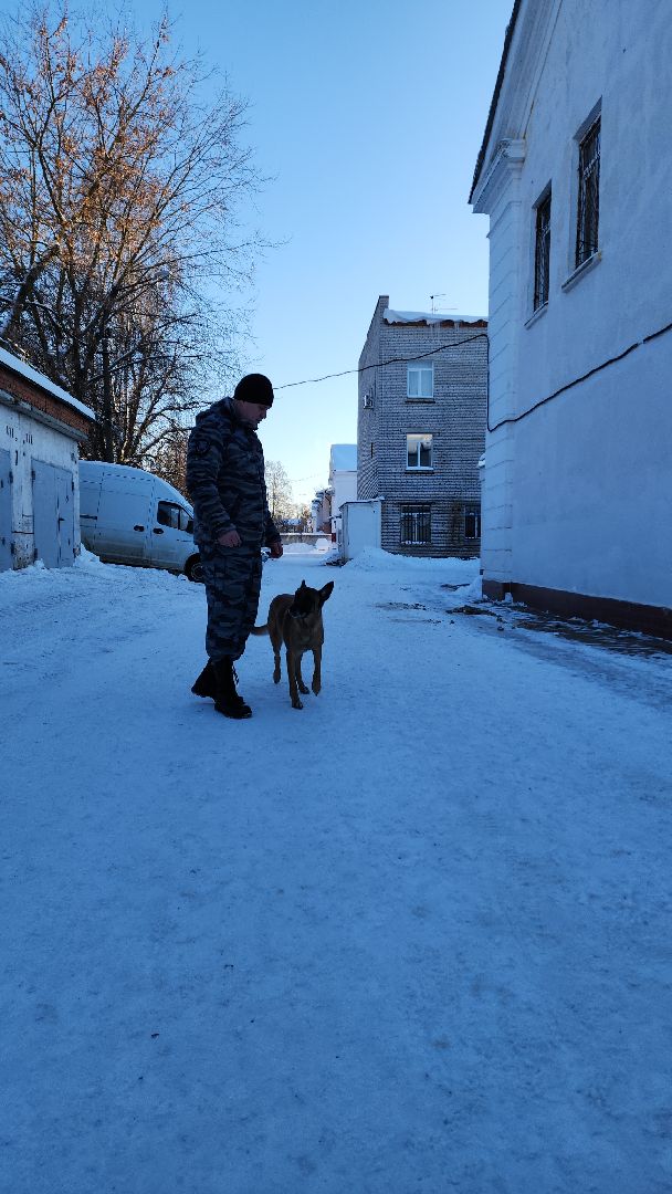 электросталь, мой город, безопасность, умвд россии, полиция, полиция электростали, кинолог, кинологи,