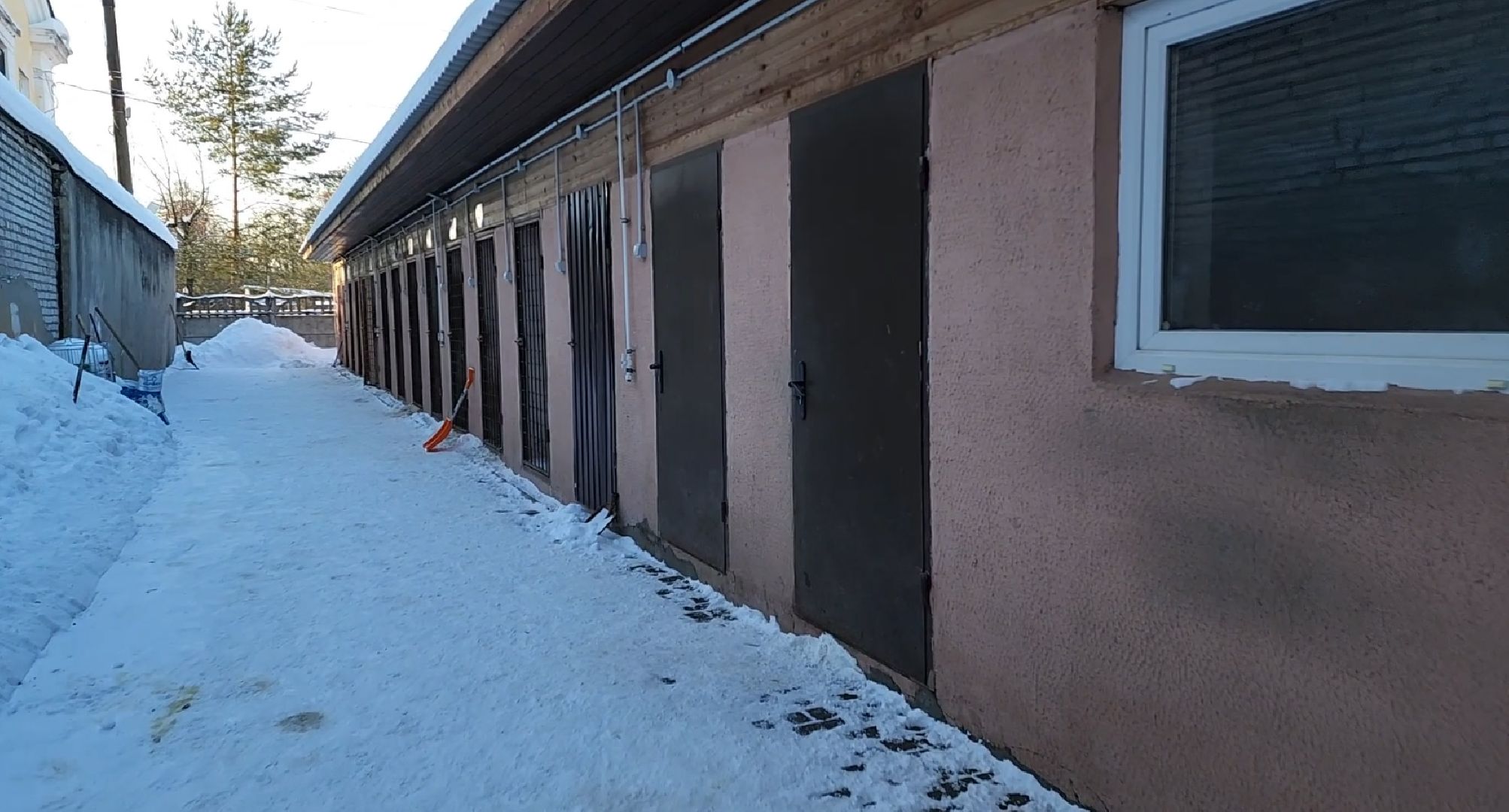 электросталь, мой город, безопасность, умвд россии, полиция, полиция электростали, кинолог, кинологи,