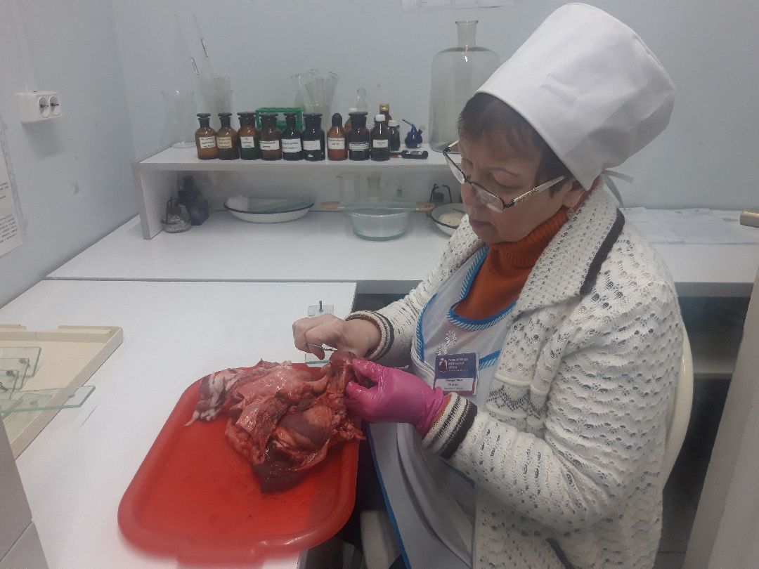 продукты, предупреждение,