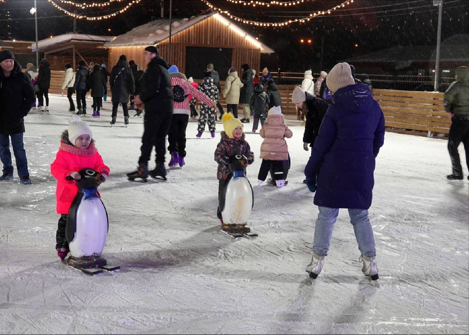 Сергиев Посад, Парк, Зачетный парк, Мособлпарк, День студента, Праздник, Скитские пруды, Татьянин день,