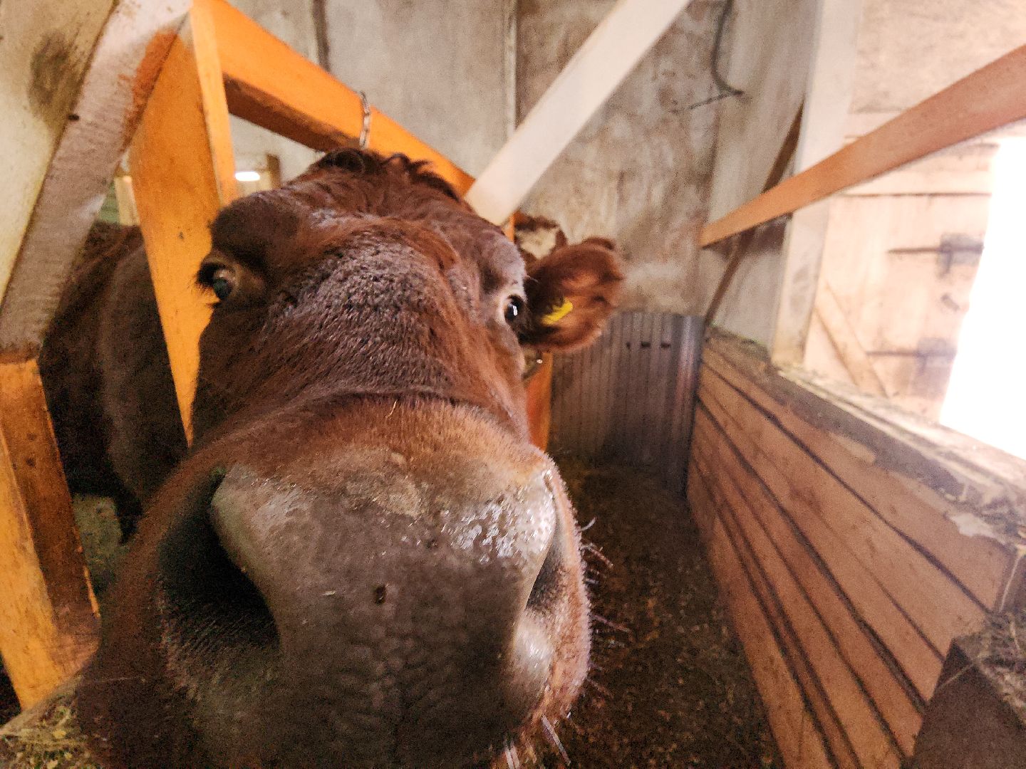 коломна, экономика, предприниматель, агростартап,