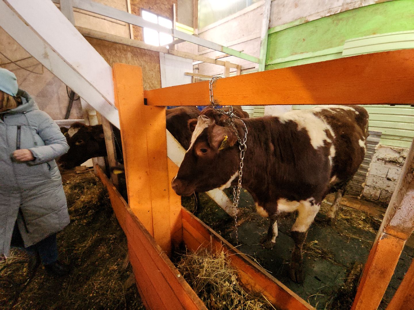 коломна, экономика, предприниматель, агростартап,