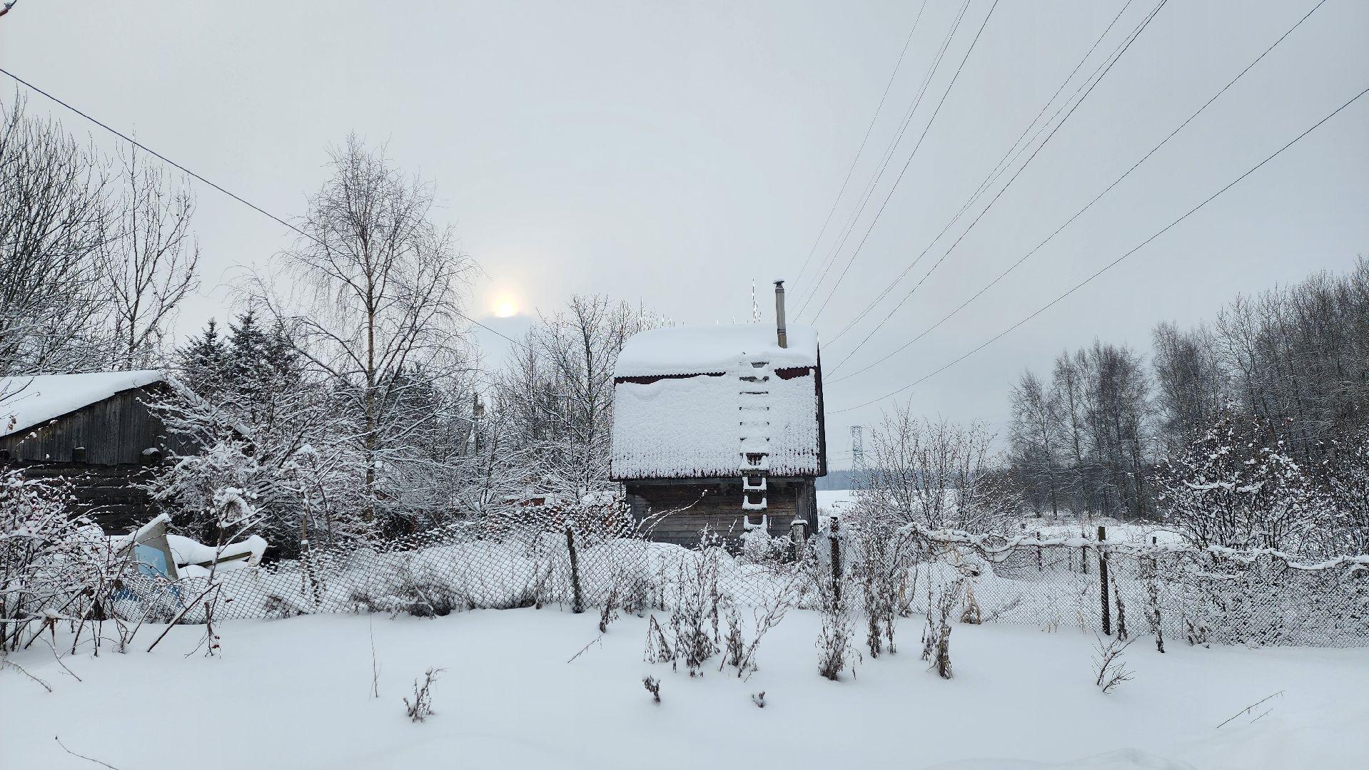 Солнечногорск, волонтеры, благотворительность, животные, Вертлино,