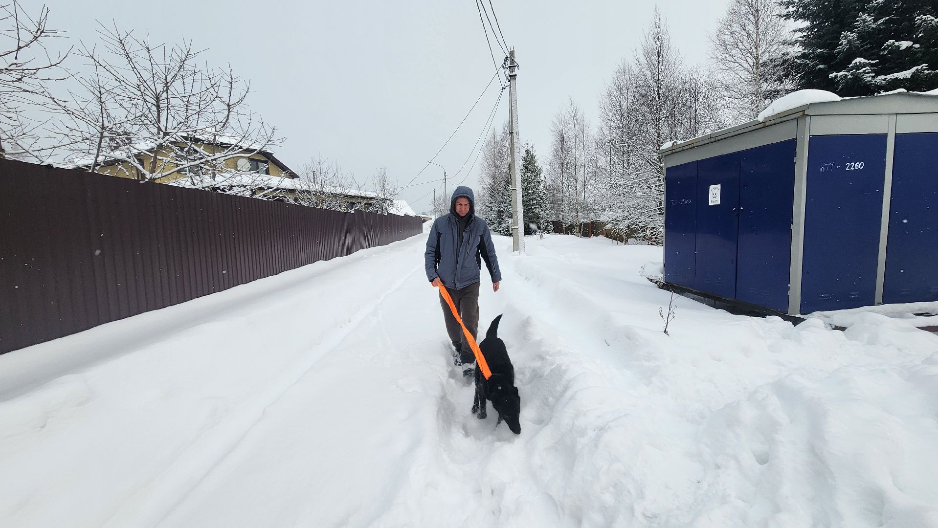 Солнечногорск, волонтеры, благотворительность, животные, Вертлино,