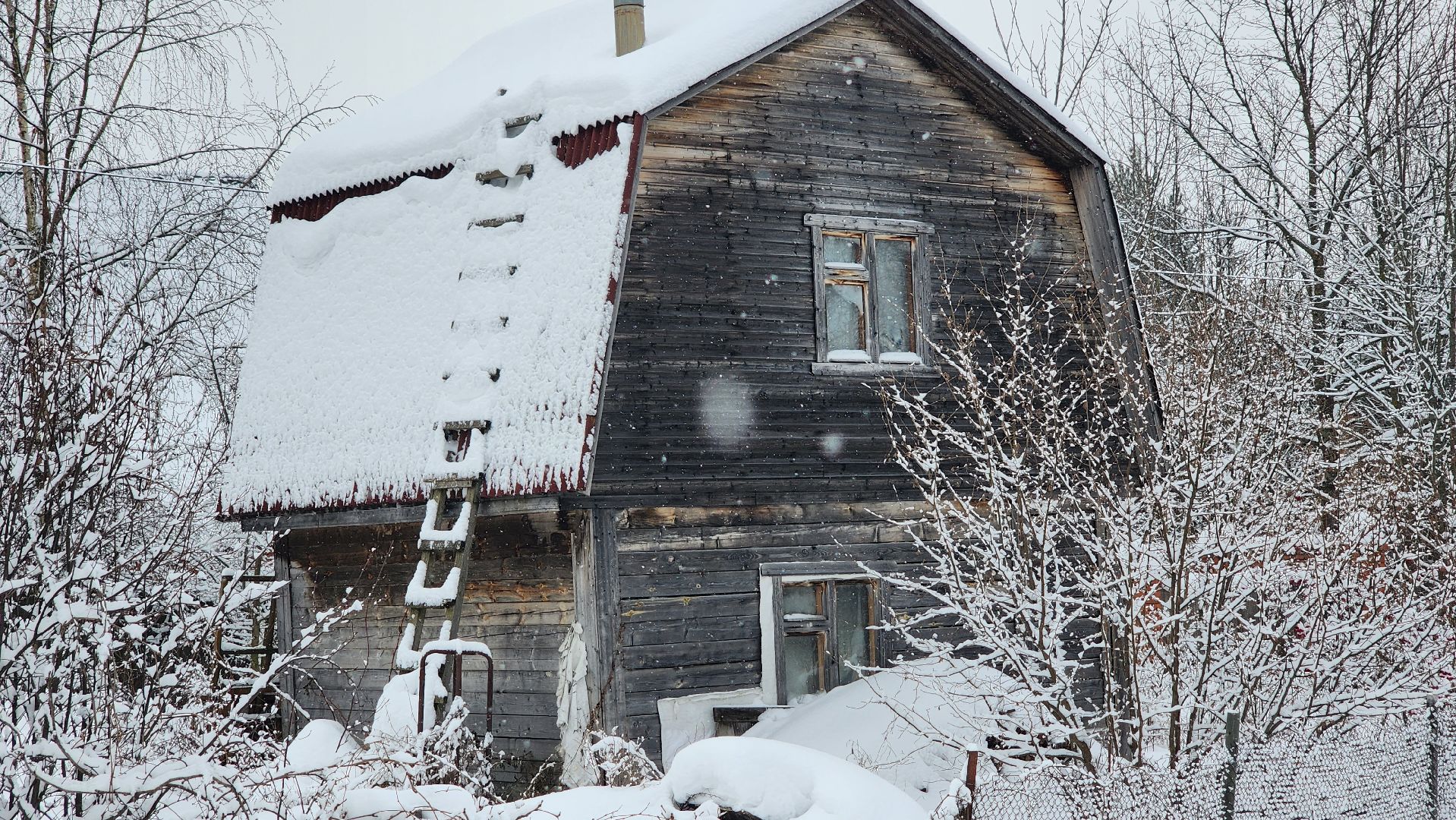 Солнечногорск, волонтеры, благотворительность, животные, Вертлино,