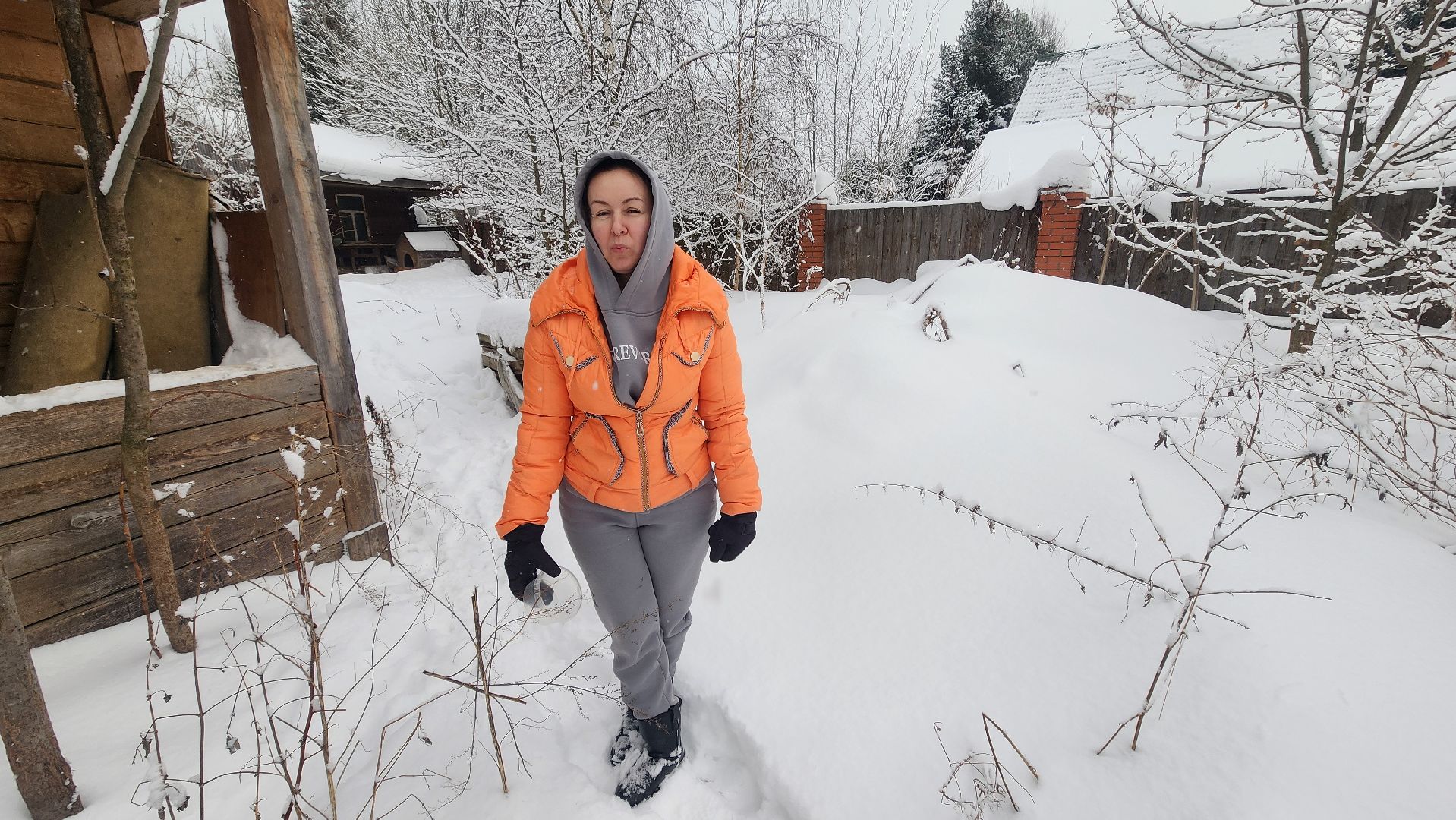 Солнечногорск, волонтеры, благотворительность, животные, Вертлино,