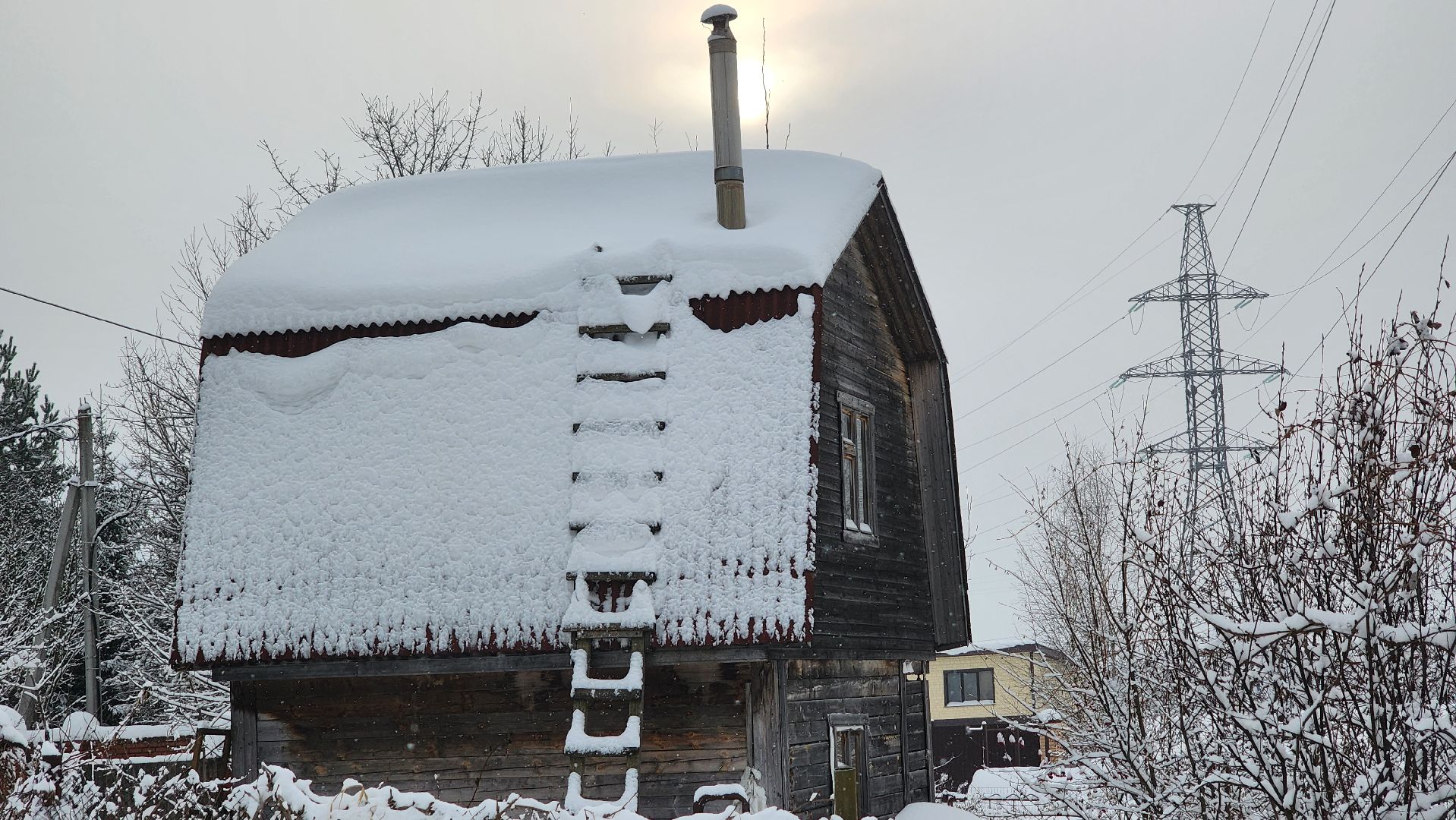 Солнечногорск, волонтеры, благотворительность, животные, Вертлино,