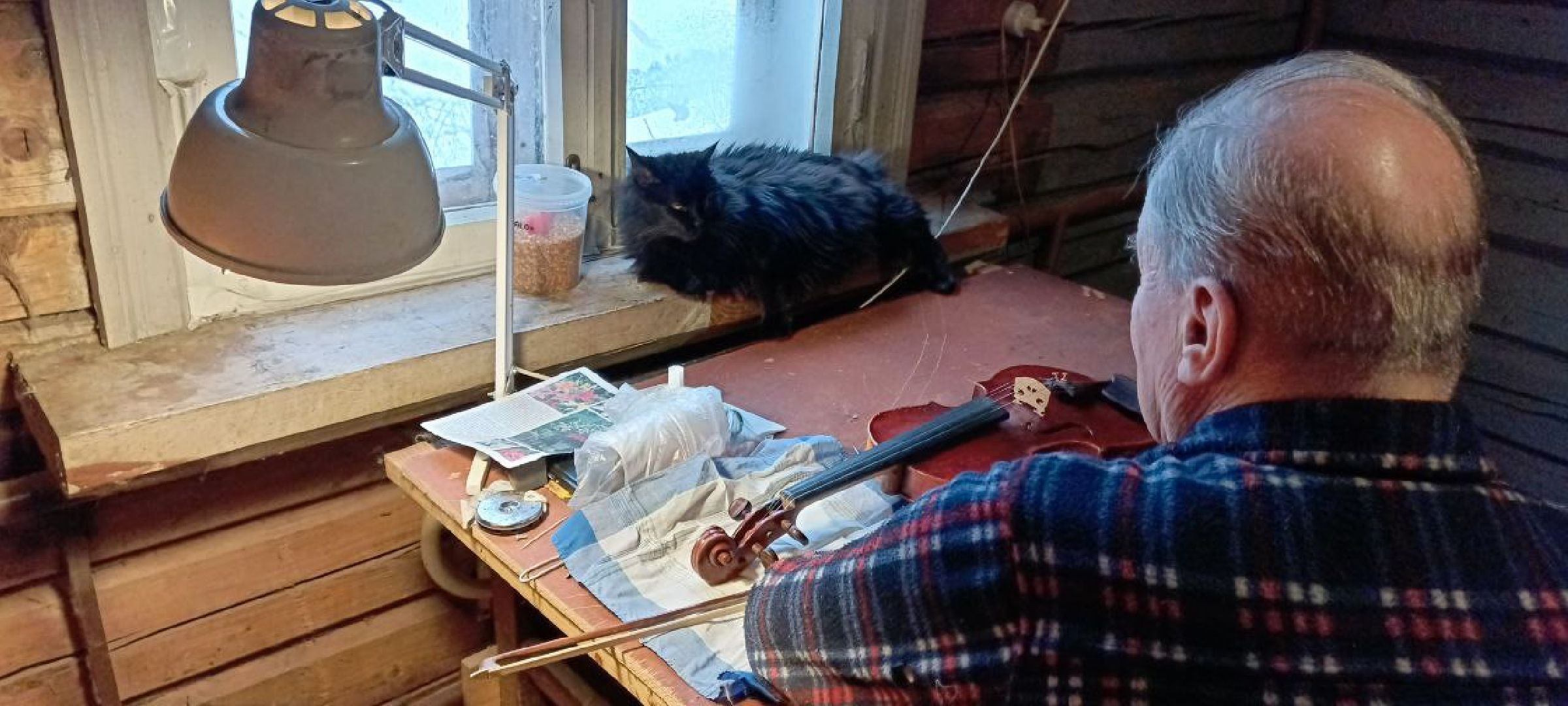 Дмитров, Деденево, Скрипичный мастер Андрей Зубенко,