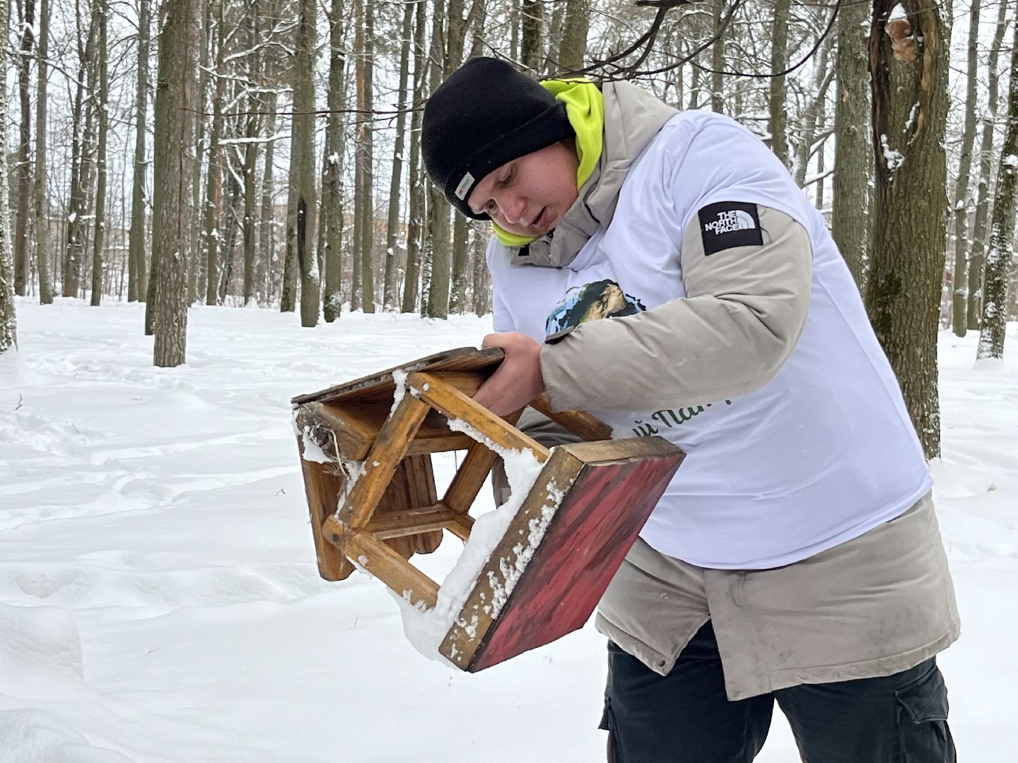 наро-фоминск, покормите птиц зимой, Юннаты, экологическая акция,наро-фоминский городской округ,