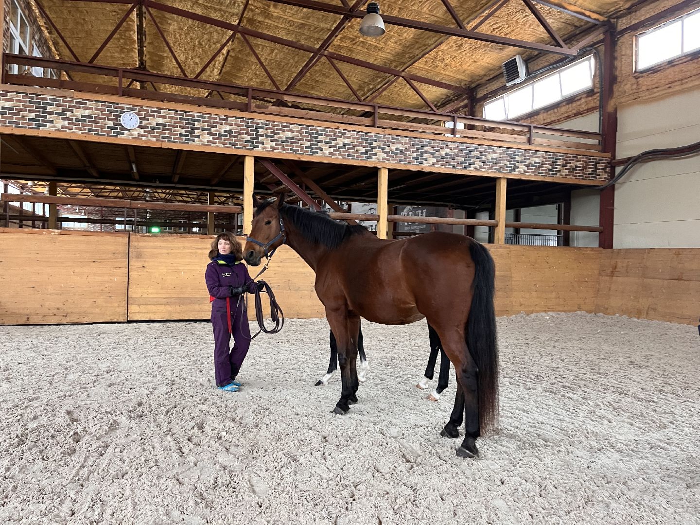 Шаховская, Центр репродукции, лошади, кони, хозяйство,