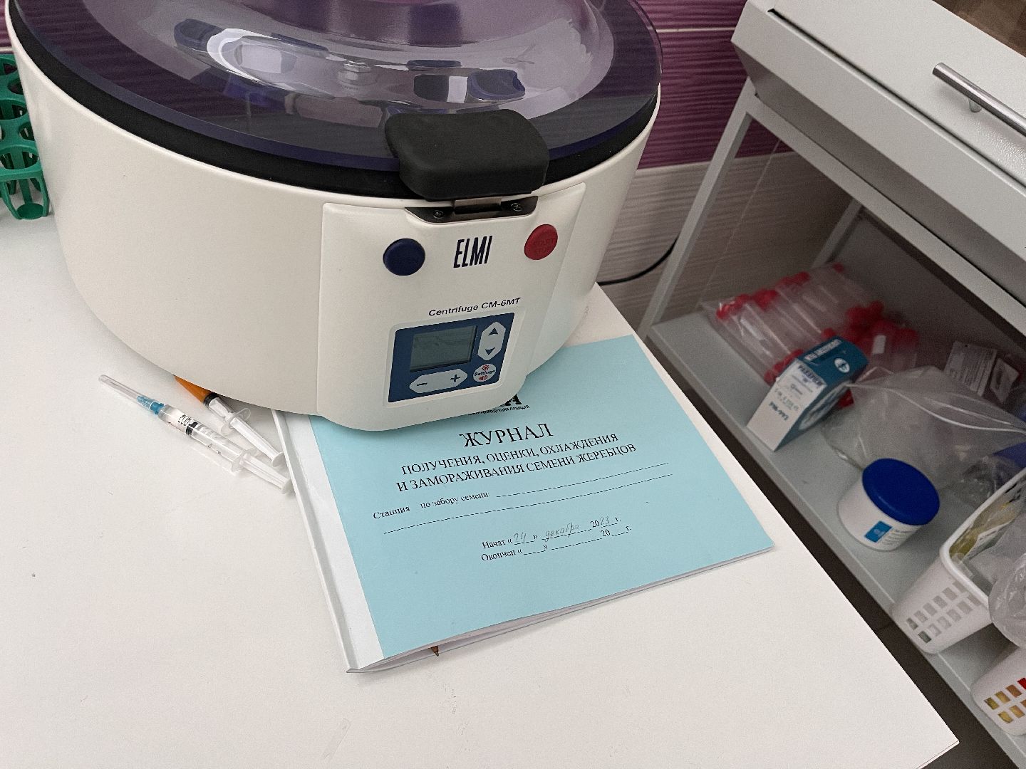 Шаховская, Центр репродукции, лошади, кони, хозяйство,