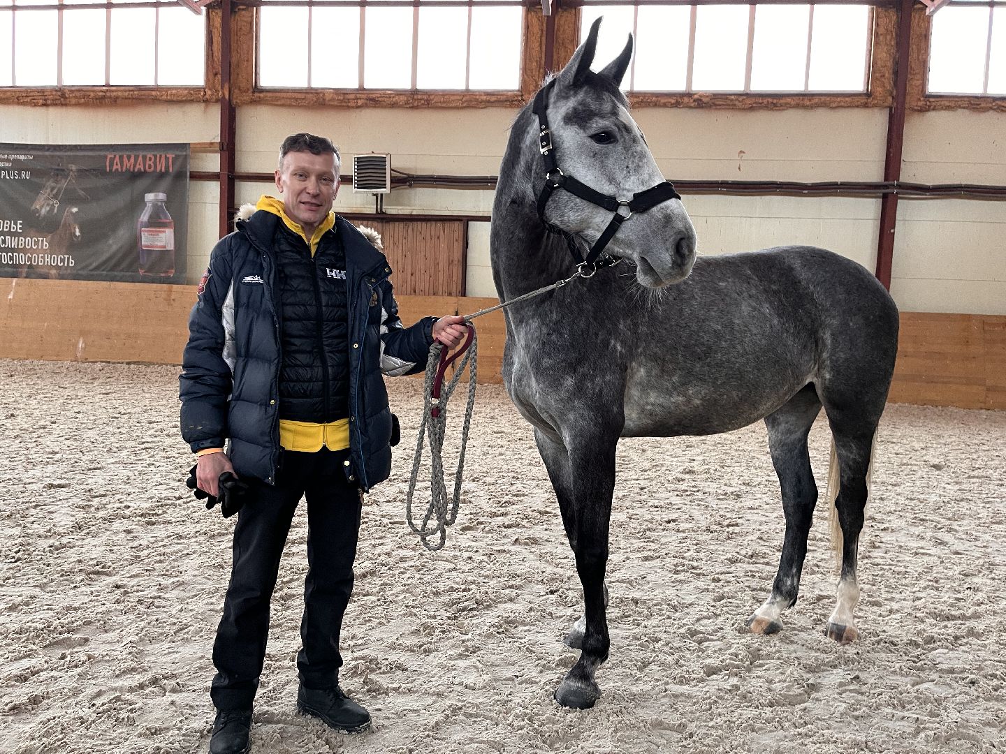 Шаховская, Центр репродукции, лошади, кони, хозяйство,