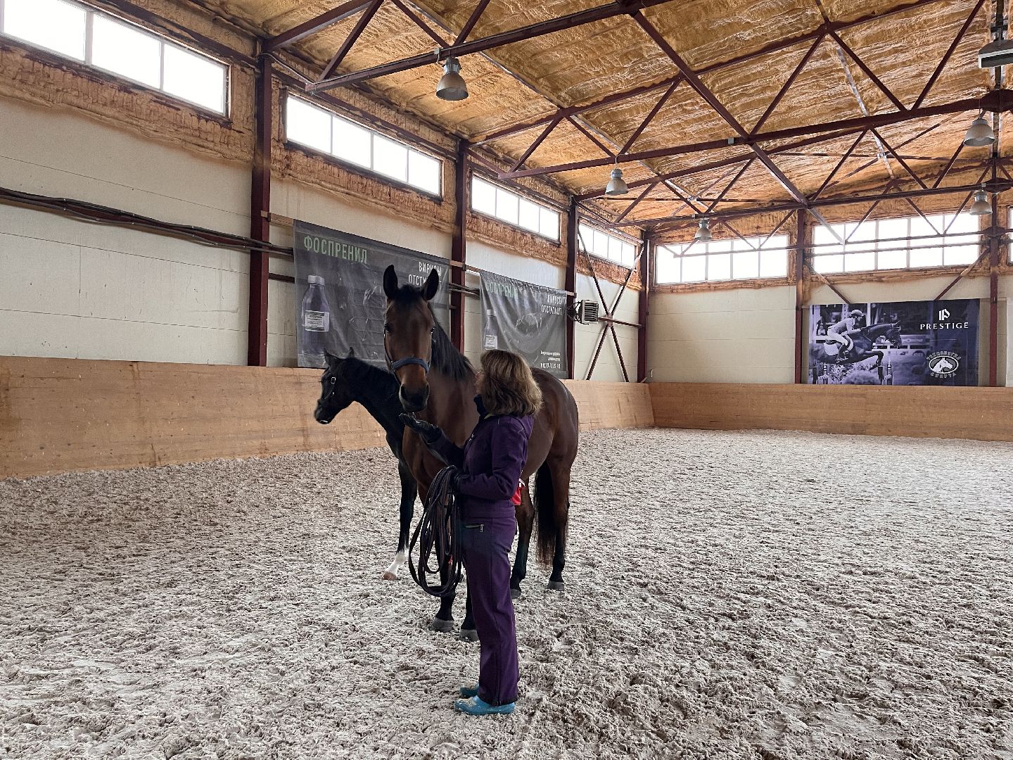 Шаховская, Центр репродукции, лошади, кони, хозяйство,