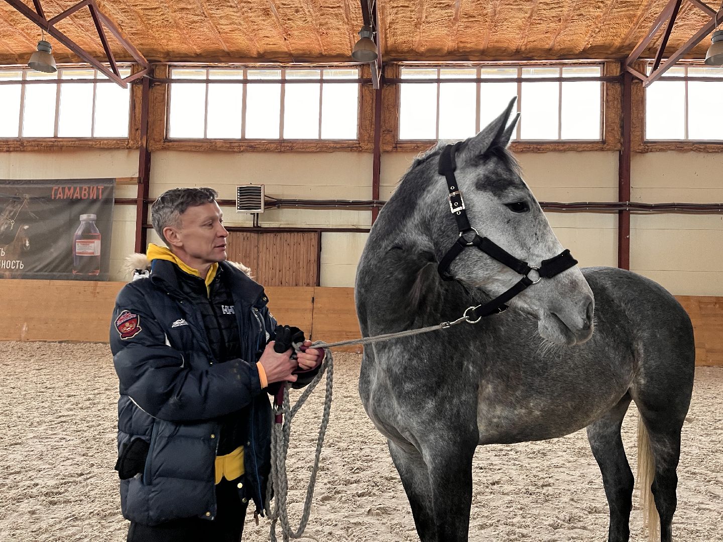 Шаховская, Центр репродукции, лошади, кони, хозяйство,