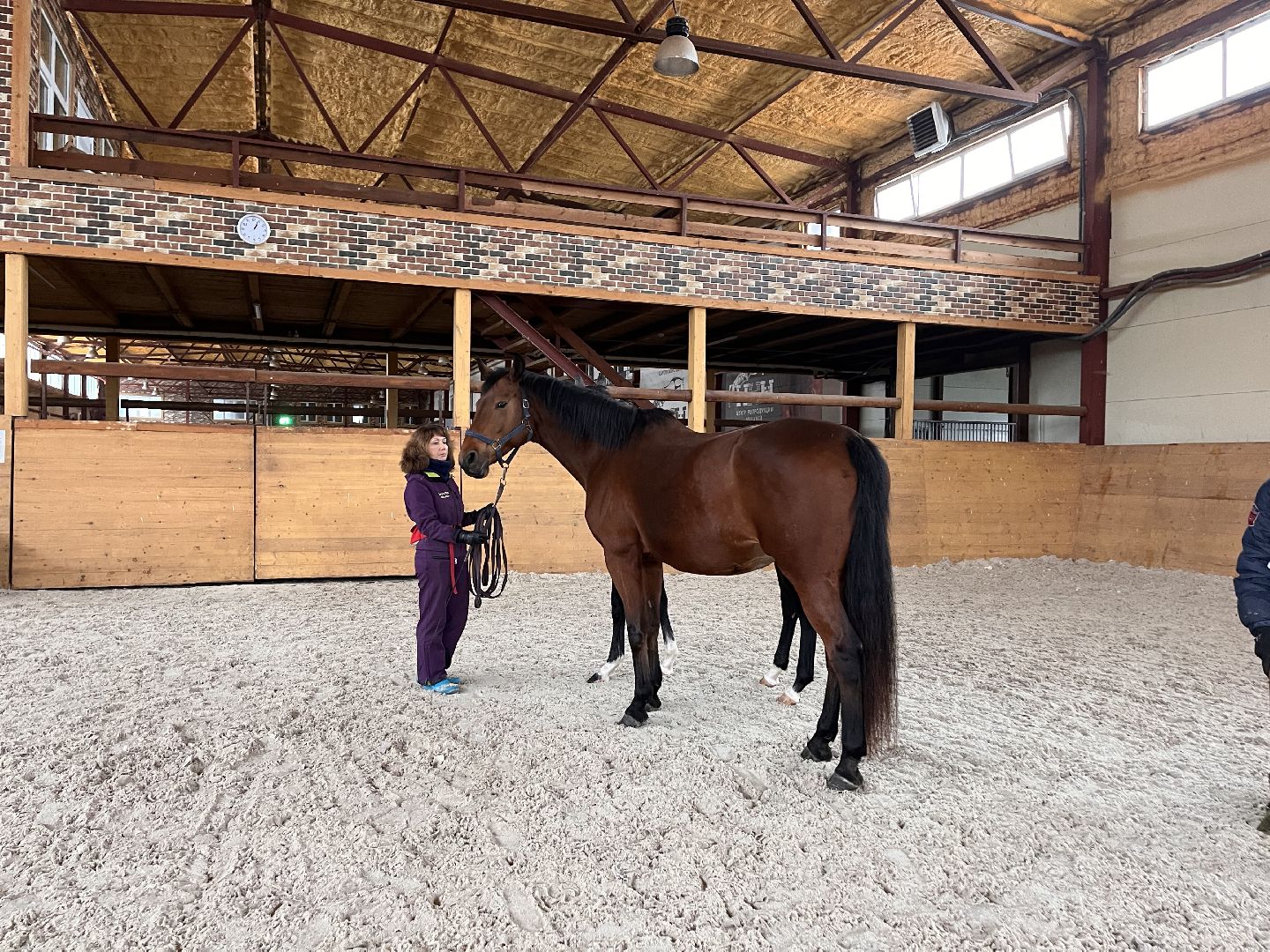 Шаховская, Центр репродукции, лошади, кони, хозяйство,