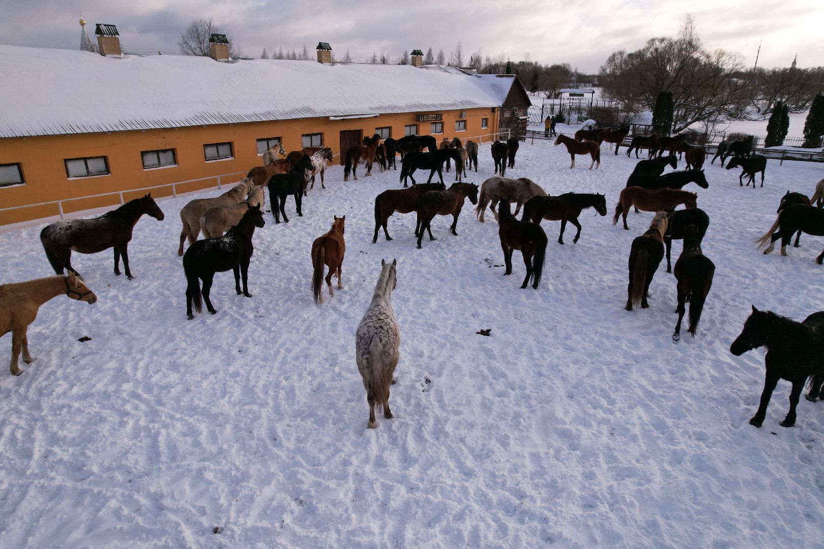 видео с коптера, можайск, туризм,