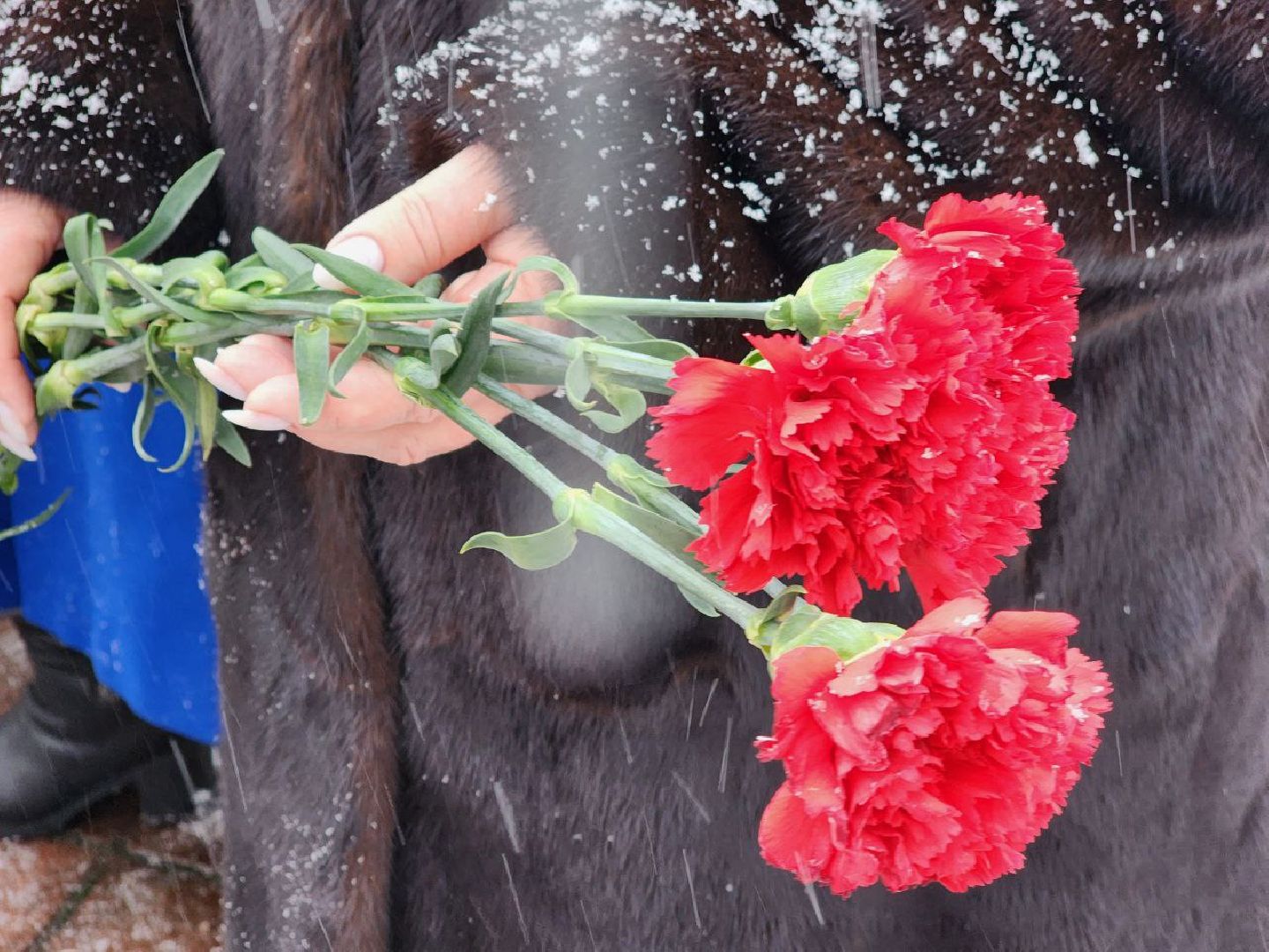 можайск, можайский городской округ, подмосковье, вахта памяти, освобождение поселка, немецко-фашистские захватчики, советская армия, митинг, памятное мероприятие,