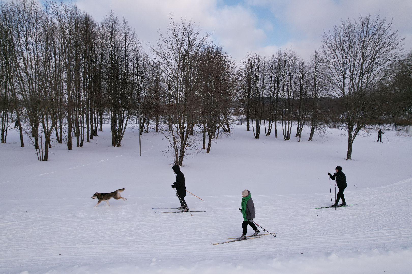 видео с коптера, можайск, спорт, парк,