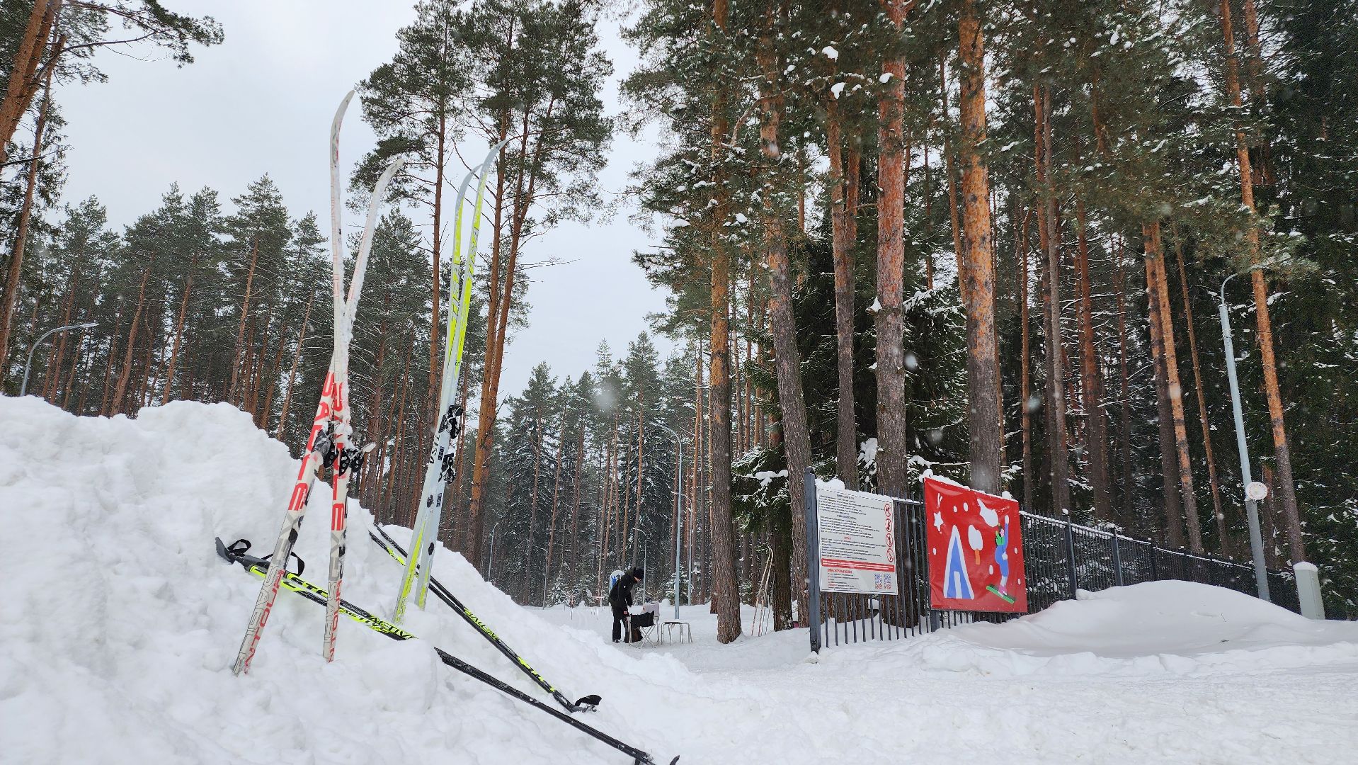 Егорьевск, Подмосковье, Московская область, ориентирование на маркированной дистанции, спорт, школа, образование,