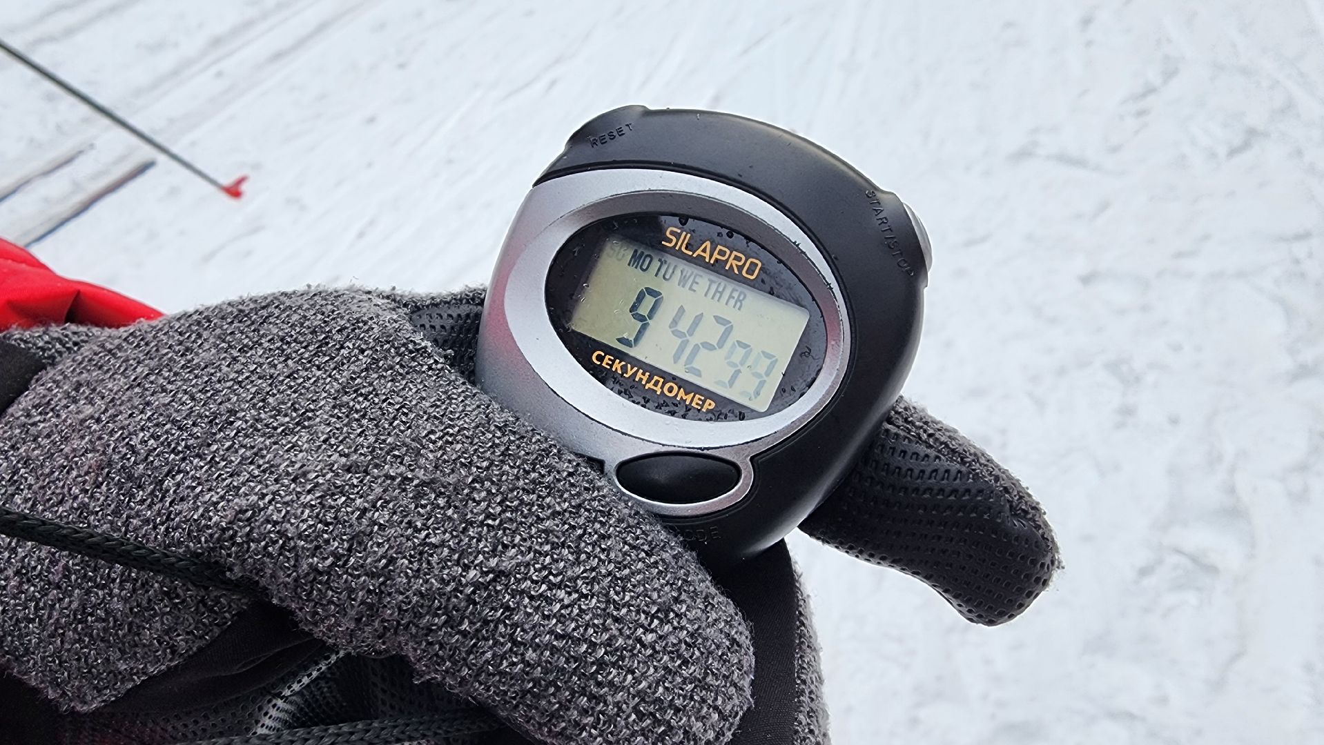 Егорьевск, Подмосковье, Московская область, ориентирование на маркированной дистанции, спорт, школа, образование,