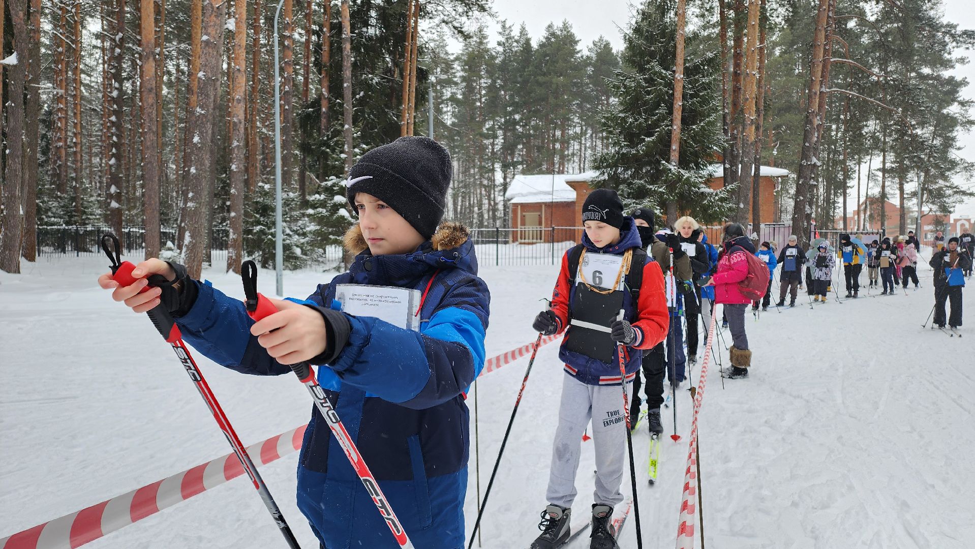 Егорьевск, Подмосковье, Московская область, ориентирование на маркированной дистанции, спорт, школа, образование,