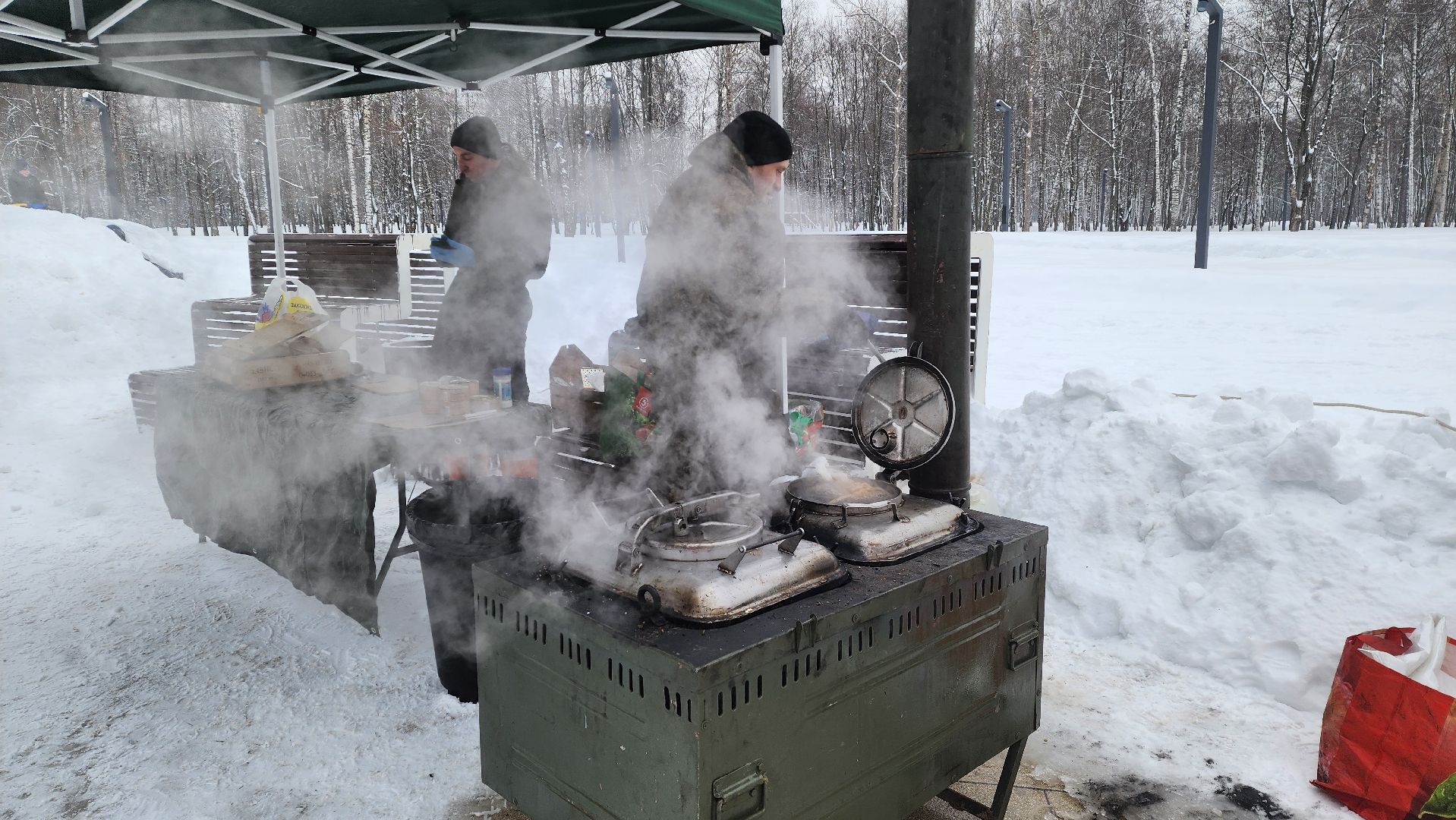 Подмосковье, Городской округ Пушкинский, Ивантеевка, парки подмосковья, Фестиваль саней, выходные в парке, выходные в подмосковье, Зима в подмосковье,