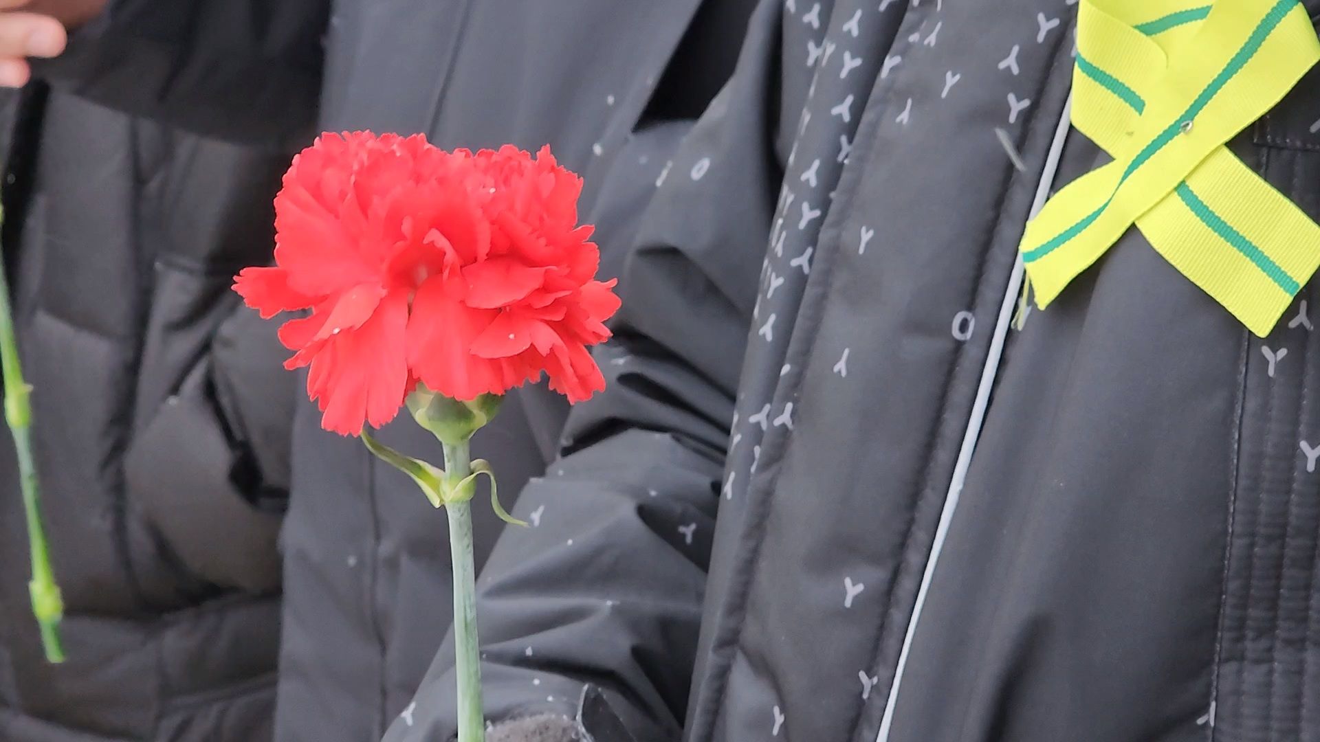 фрязино, блокада ленинграда, акция,