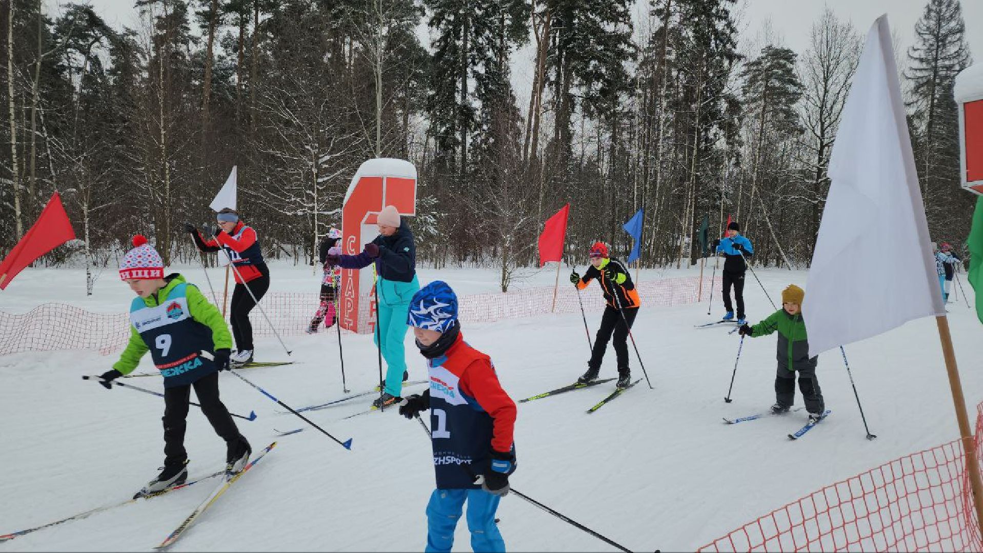 мытищи, Наталья Коростелева, лыжи, зима в подмосковье, лыжные гонки, Мытищинская лыжня,