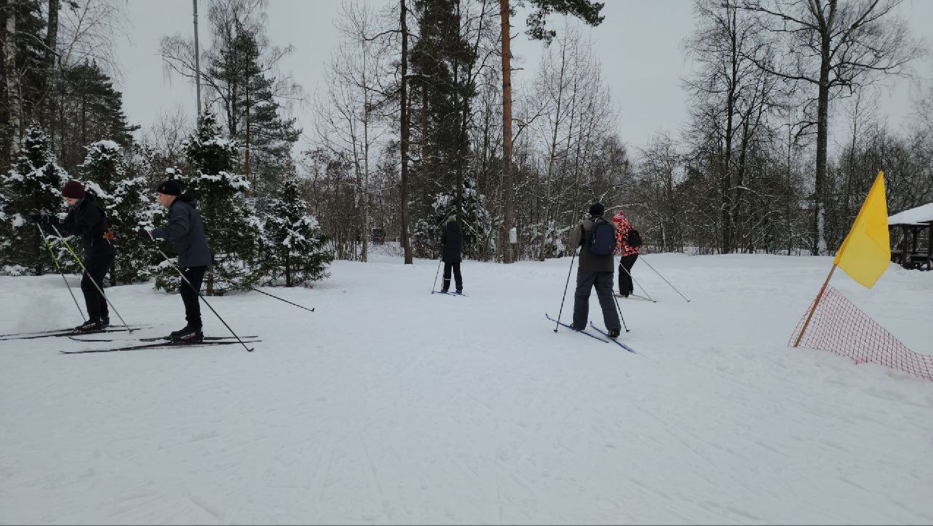 мытищи, Наталья Коростелева, лыжи, зима в подмосковье, лыжные гонки, Мытищинская лыжня,