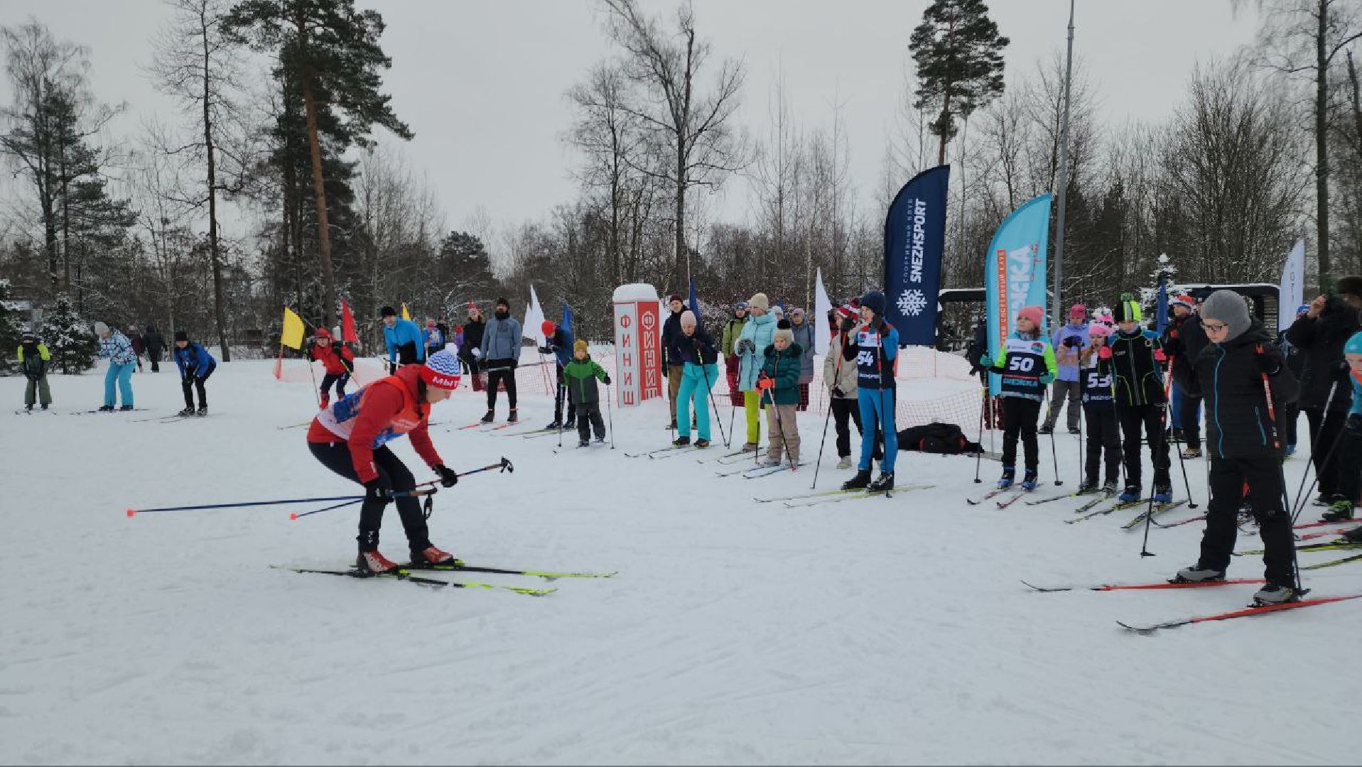 мытищи, Наталья Коростелева, лыжи, зима в подмосковье, лыжные гонки, Мытищинская лыжня,