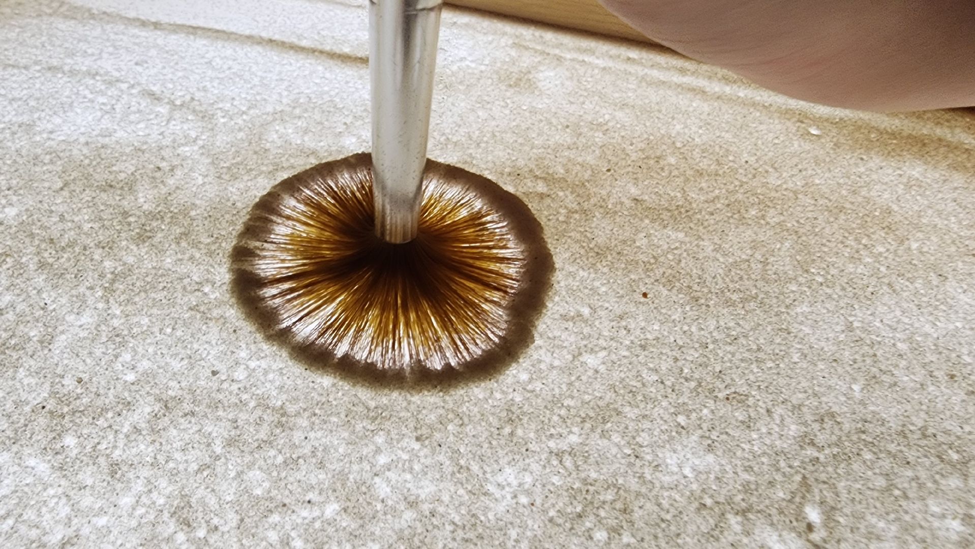 Подмосковье, Городской округ Пушкинский, ивантеевка, кцсоир пушкинский, реабилитация, Дети-инвалиды,