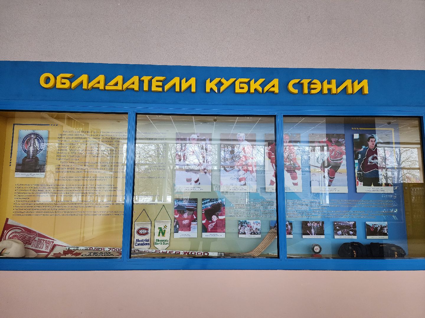 воскресенск, спорт, химик, хоккей, тренер, звезды,