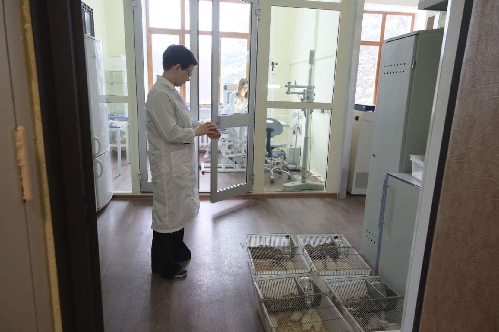 пущино, наука, медицина, опыты, здоровье,