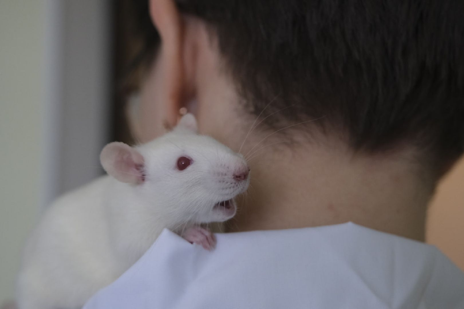 пущино, наука, медицина, опыты, здоровье,