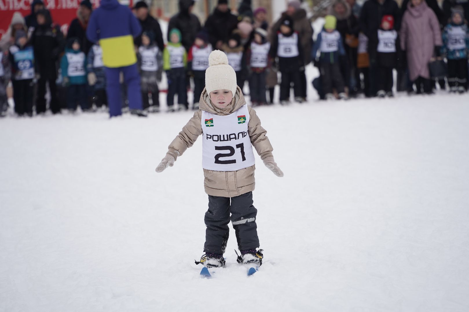 Рошальская лыжня, Спорт, Большая Шатура, Спортивная школа,