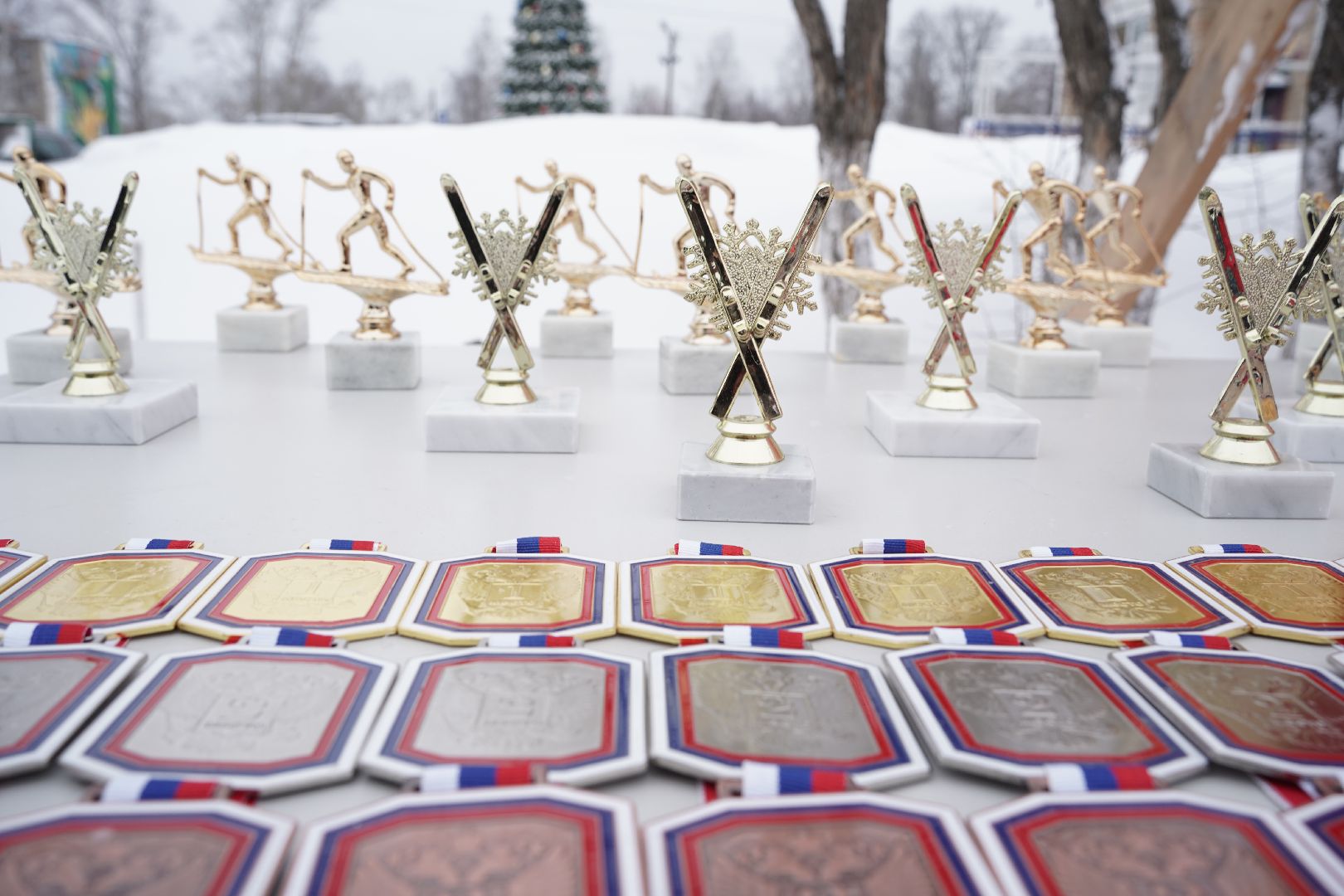 Рошальская лыжня, Спорт, Большая Шатура, Спортивная школа,